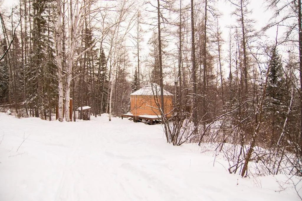 Les Racines du p'tit Isidore
