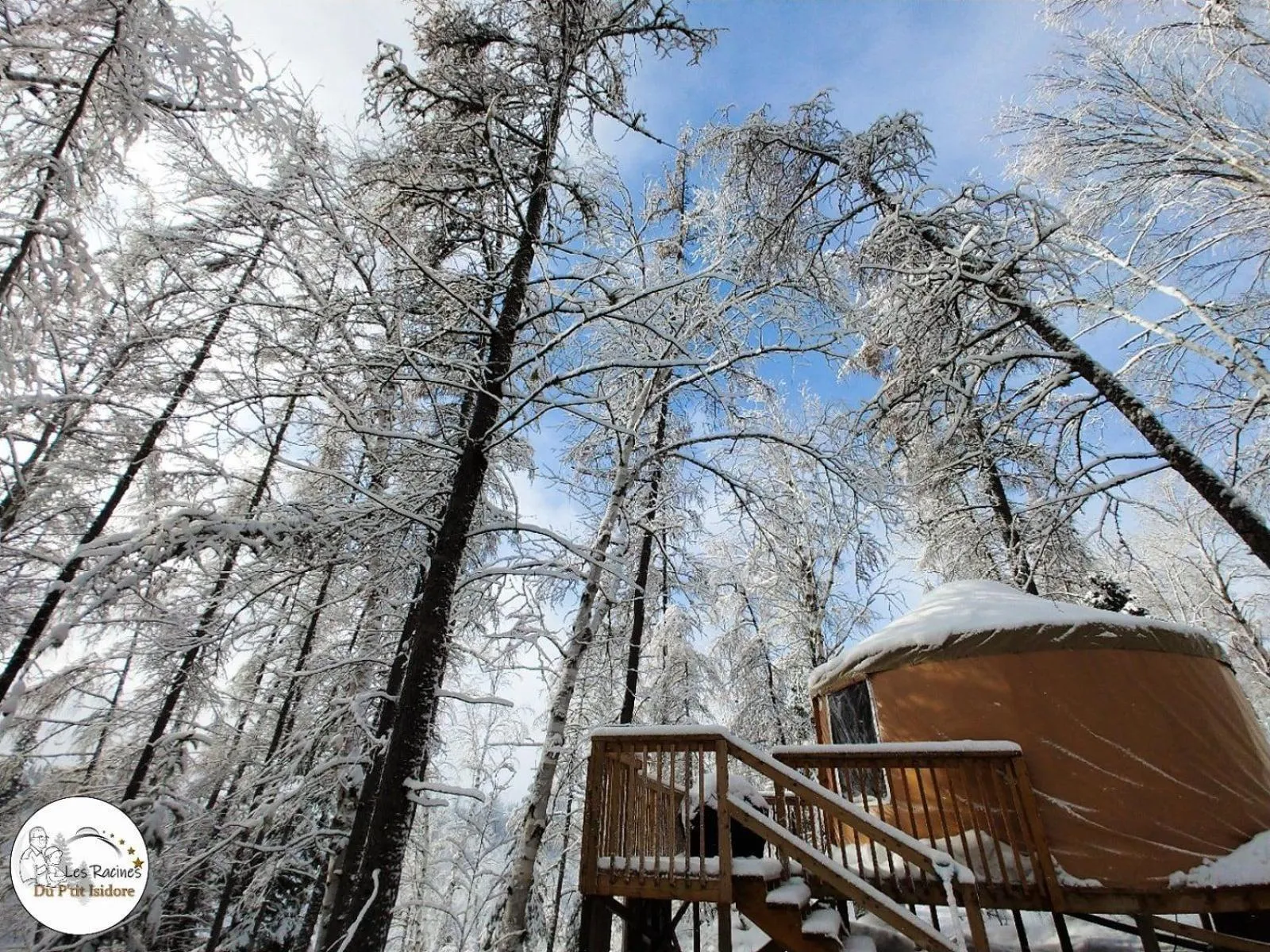 Les Racines du p'tit Isidore