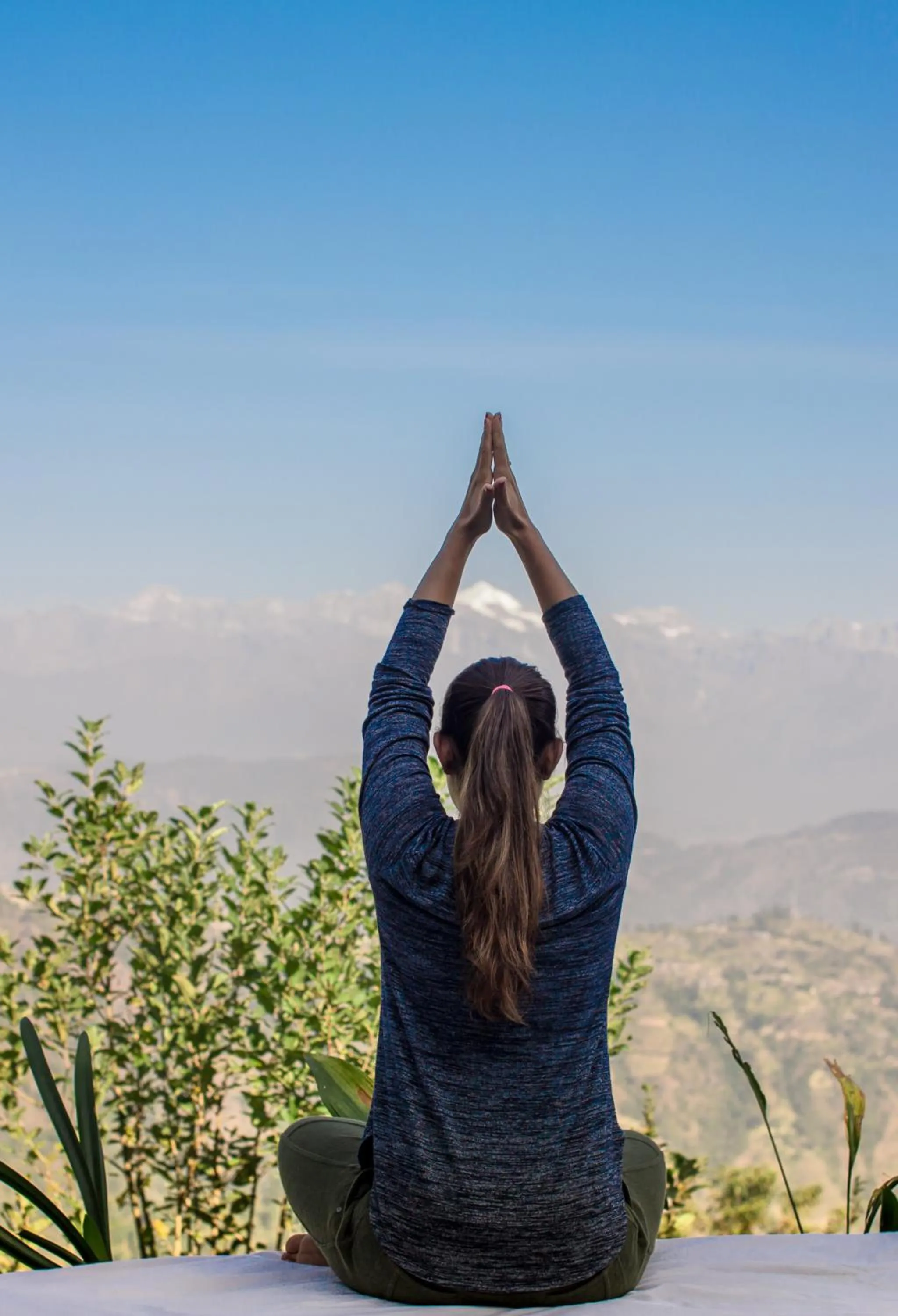 Area and facilities in The Lapsi Tree