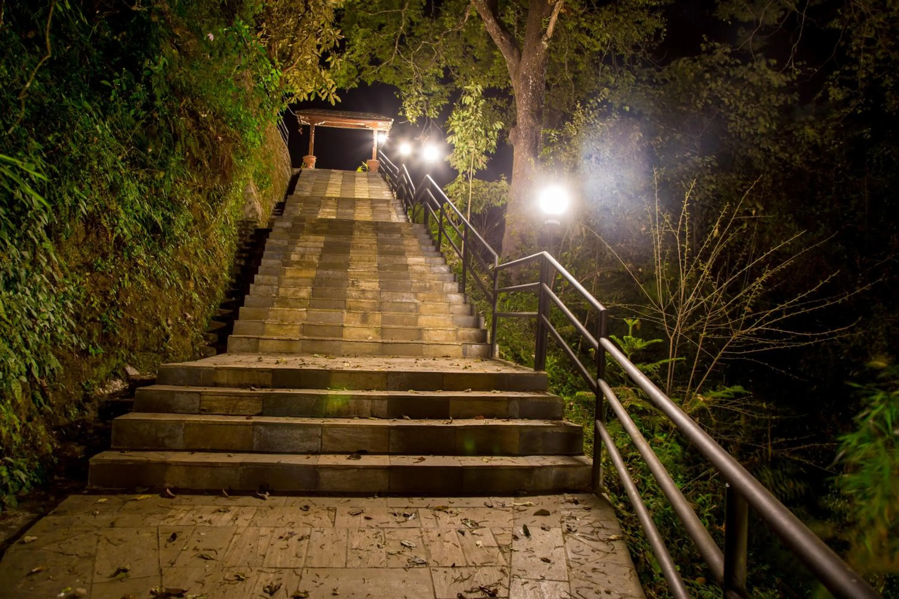 Facade/entrance in The Lapsi Tree