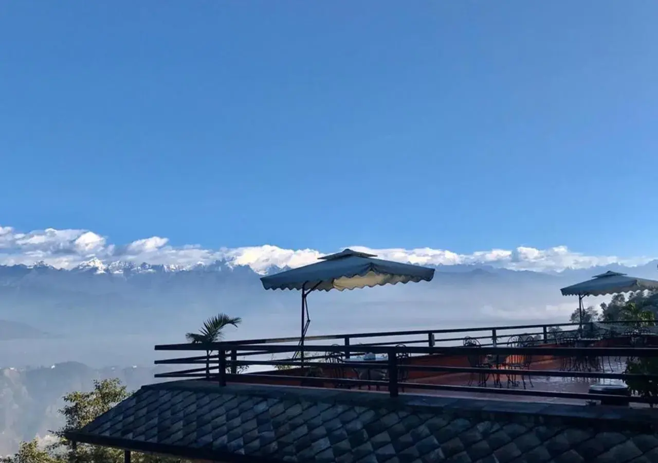 Restaurant/places to eat in The Lapsi Tree Restaurant/places to eat in The Lapsi Tree