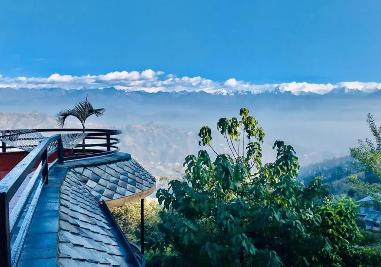 Restaurant/places to eat in The Lapsi Tree Restaurant/places to eat in The Lapsi Tree