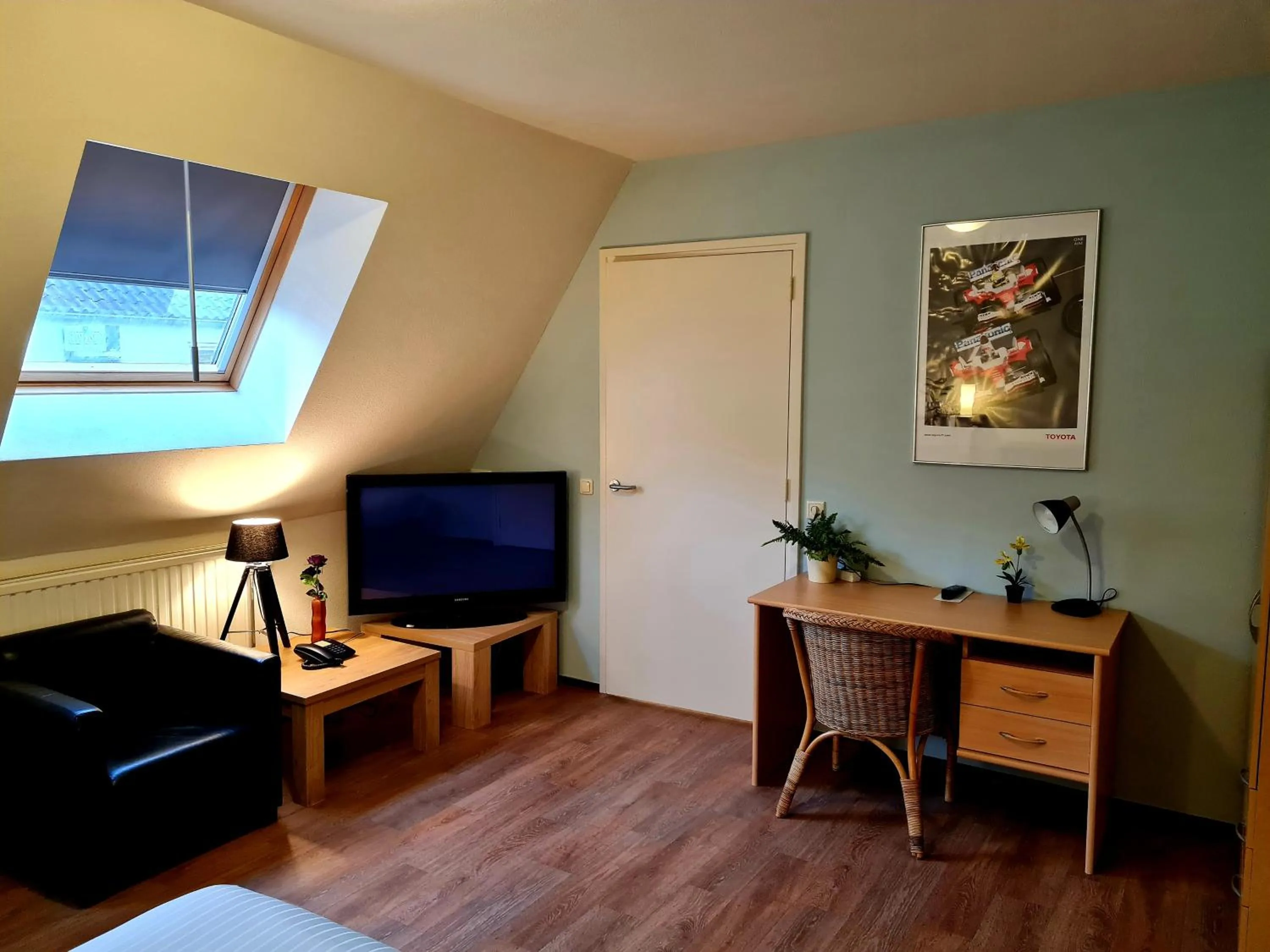 TV and multimedia in Hotel Restaurant 't Trefpunt