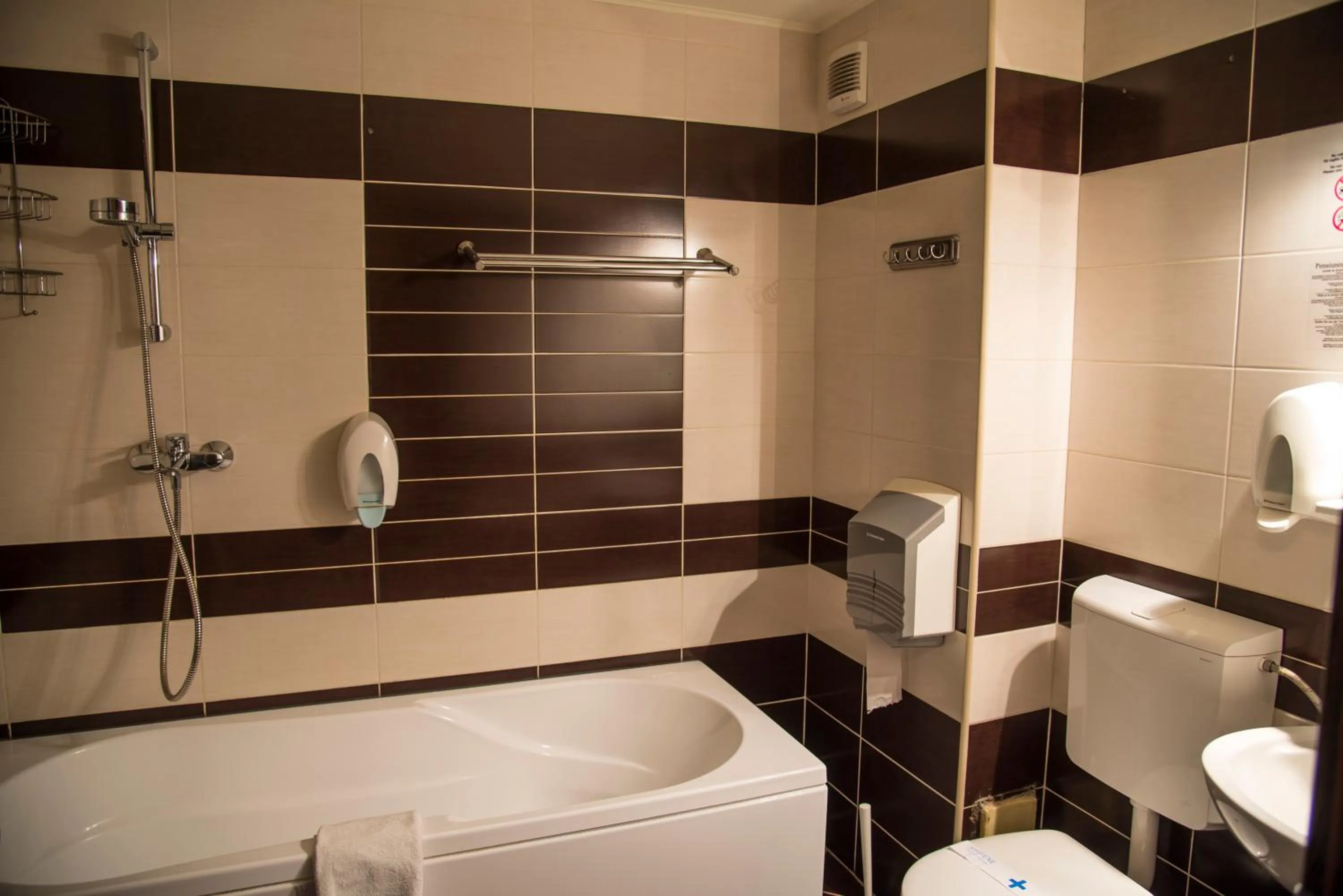 Bathroom in Pensiunea Carmen - Bikers Friendly Nest