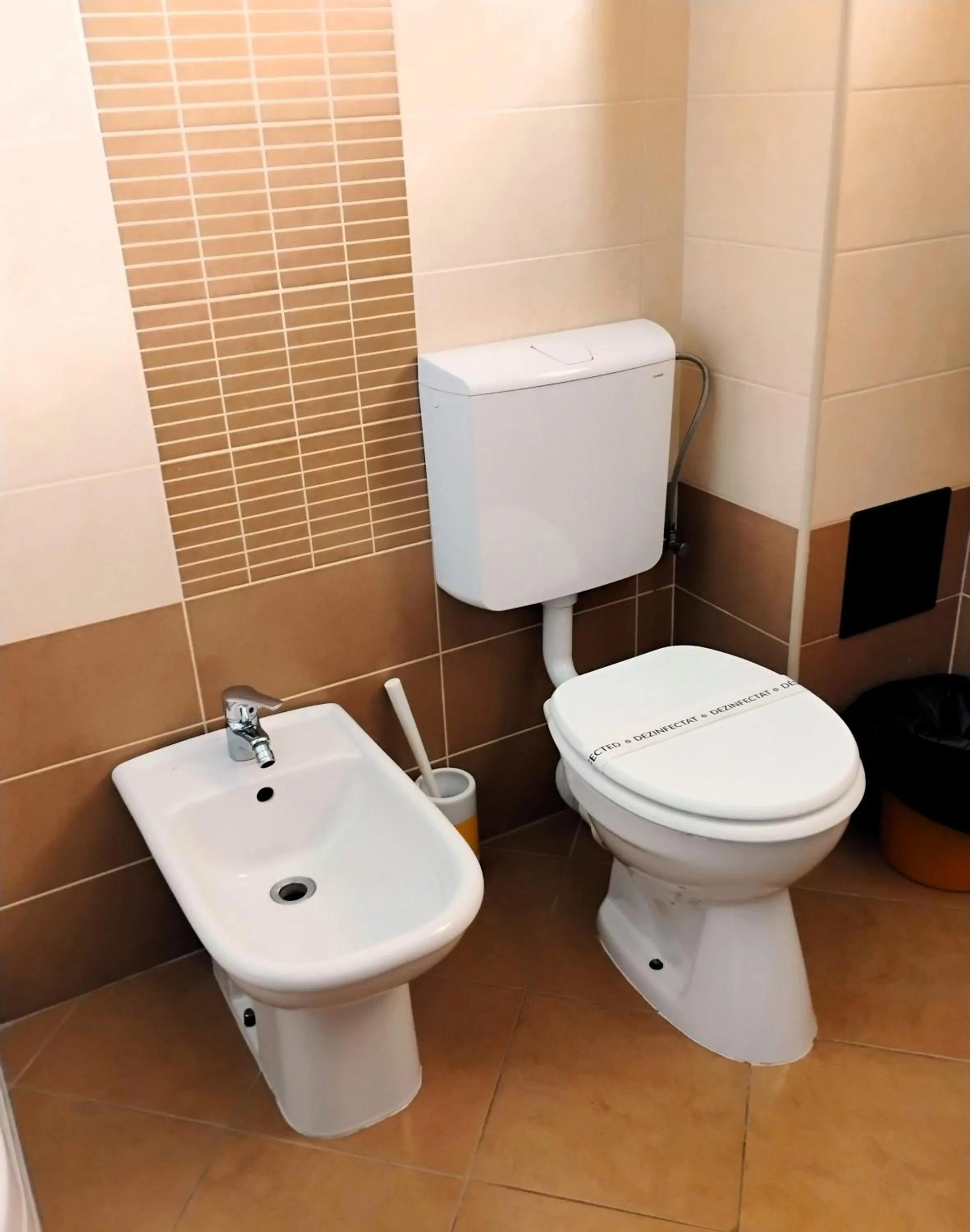 Toilet in Pensiunea Carmen - Bikers Friendly Nest