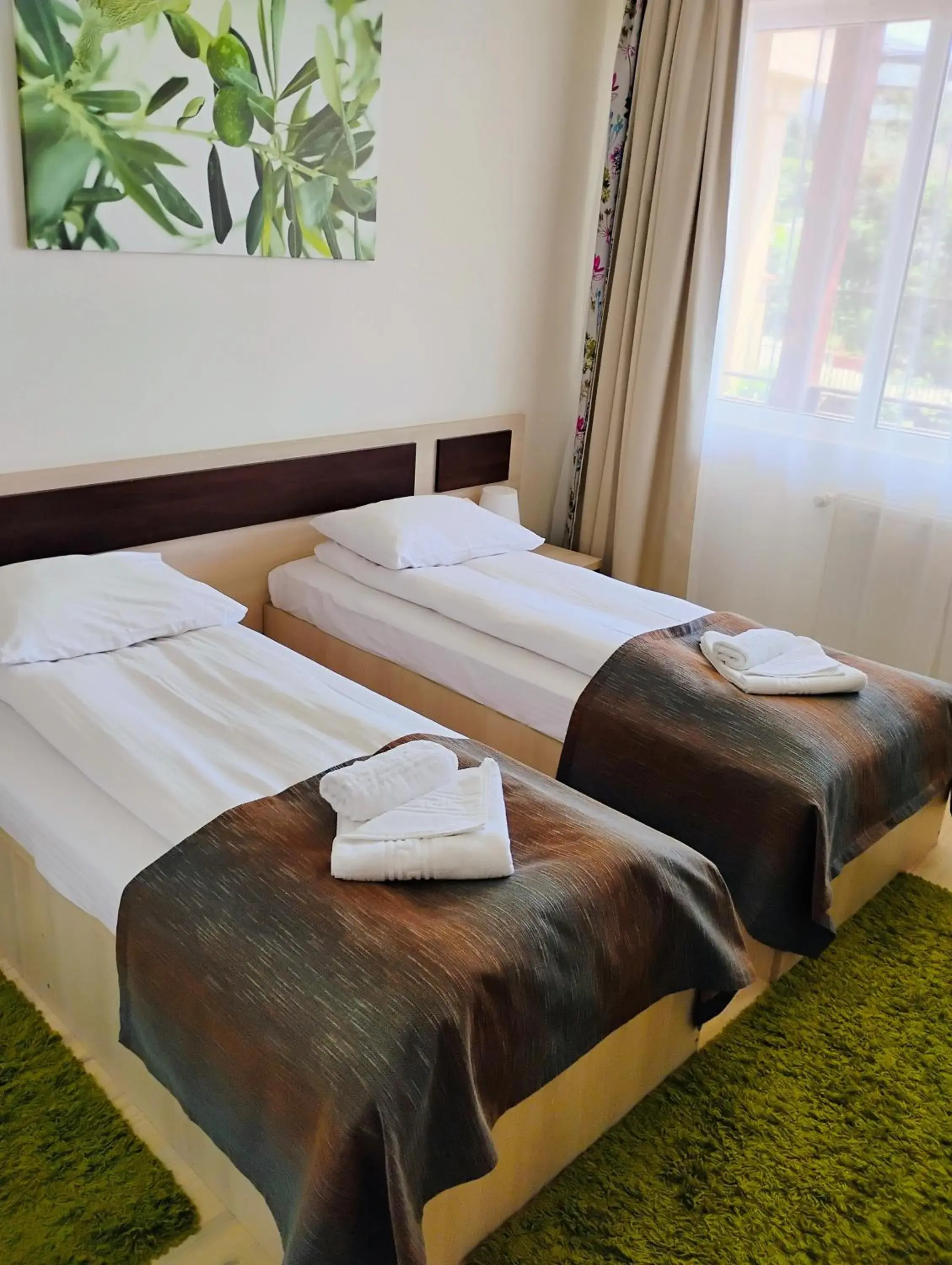 Standard Twin Room in Pensiunea Carmen - Bikers Friendly Nest Standard Twin Room in Pensiunea Carmen - Bikers Friendly Nest