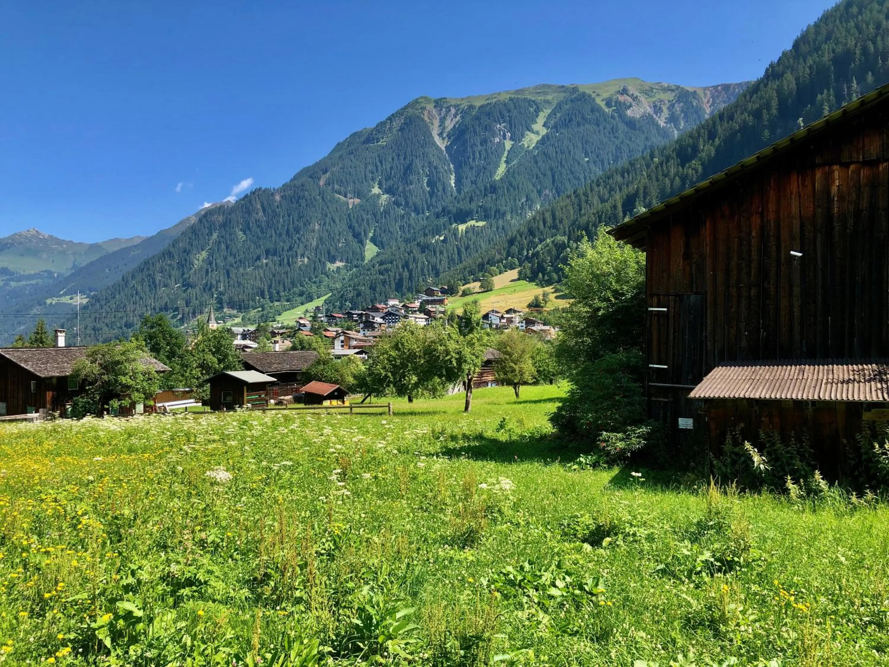 View (from property/room) in Appart Laijola