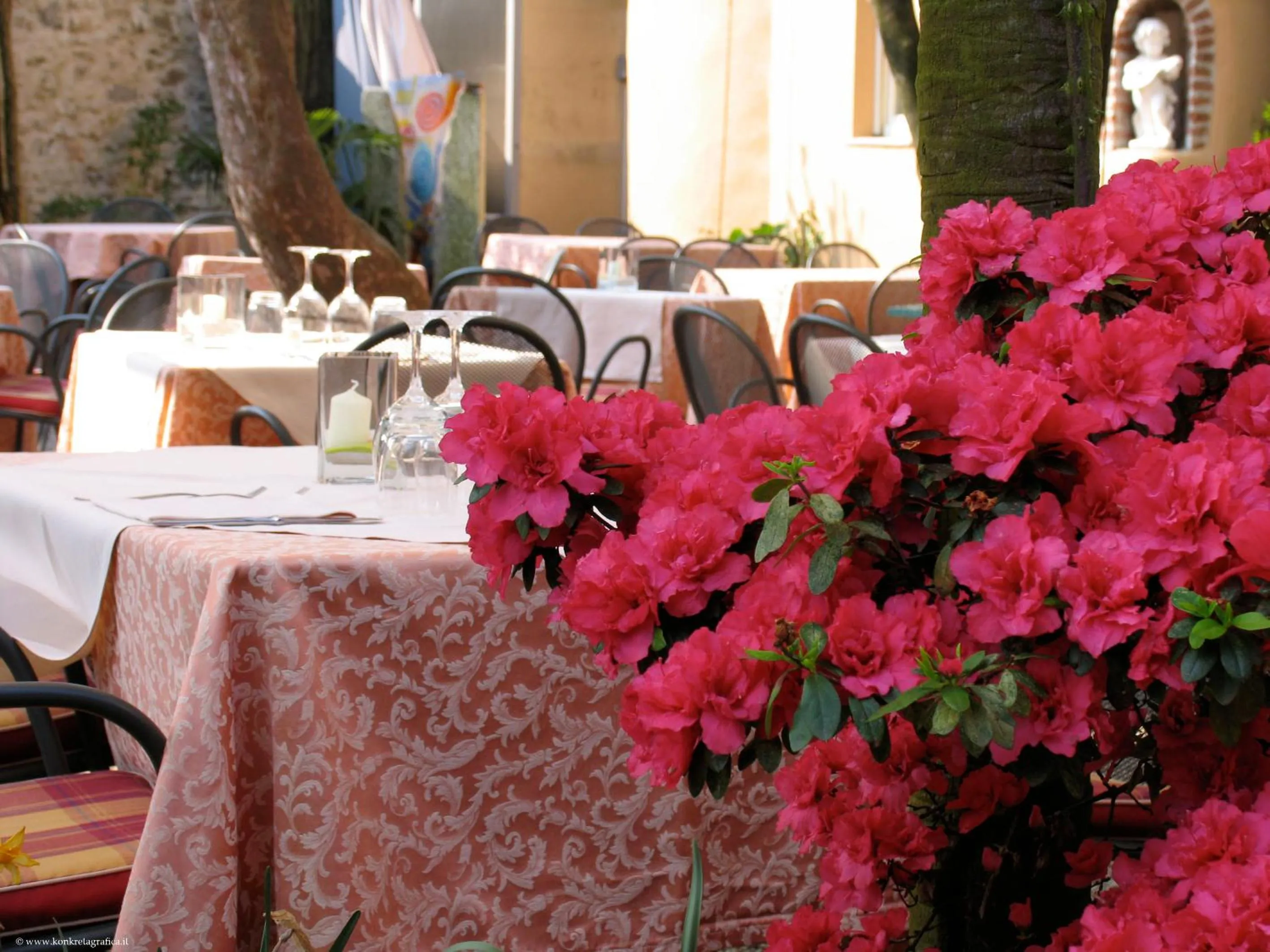 Restaurant/places to eat in Hotel Antica Stallera