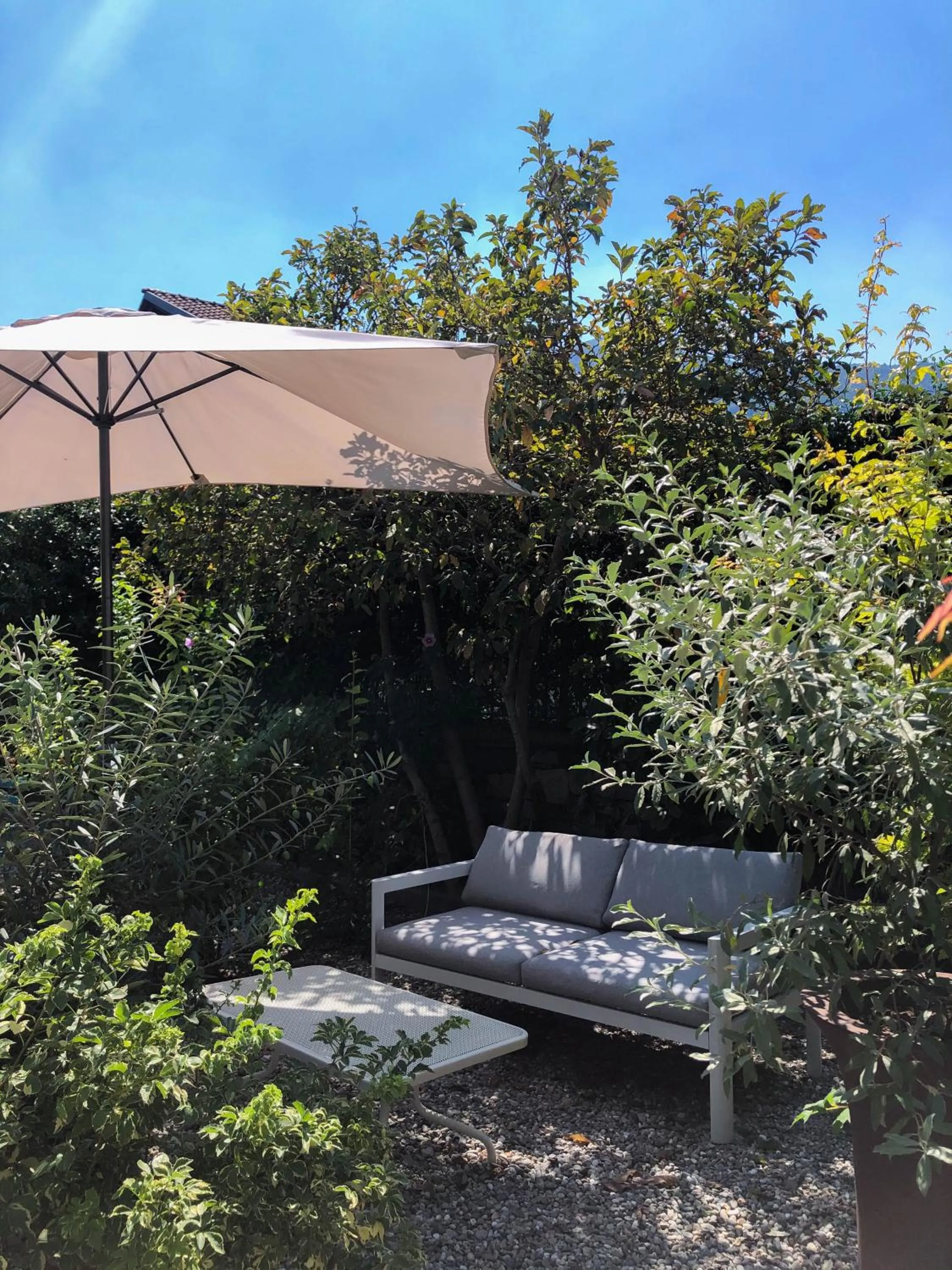 Garden in Hotel Antica Stallera