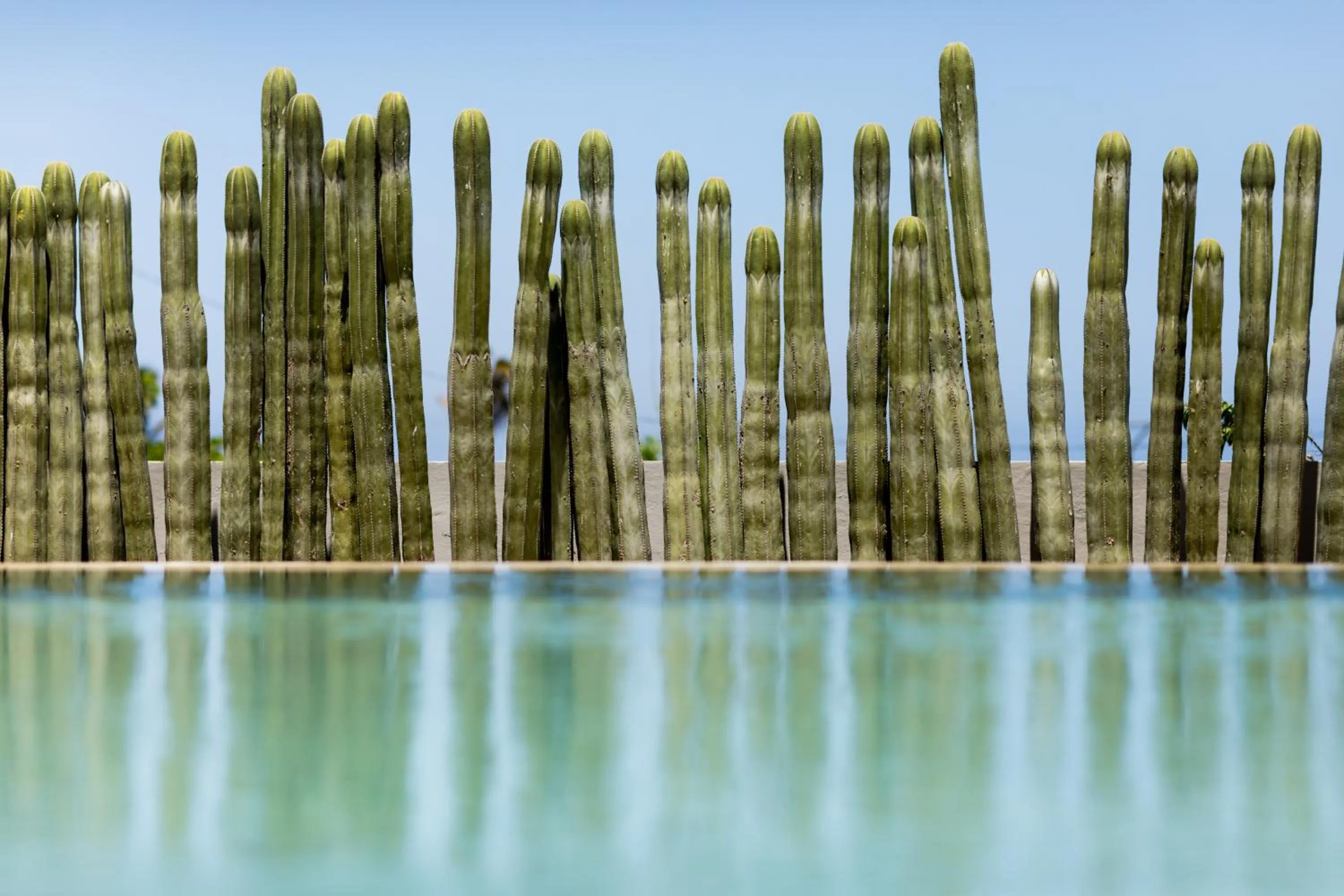 Swimming pool in Hotel Boutique Casa Lulu