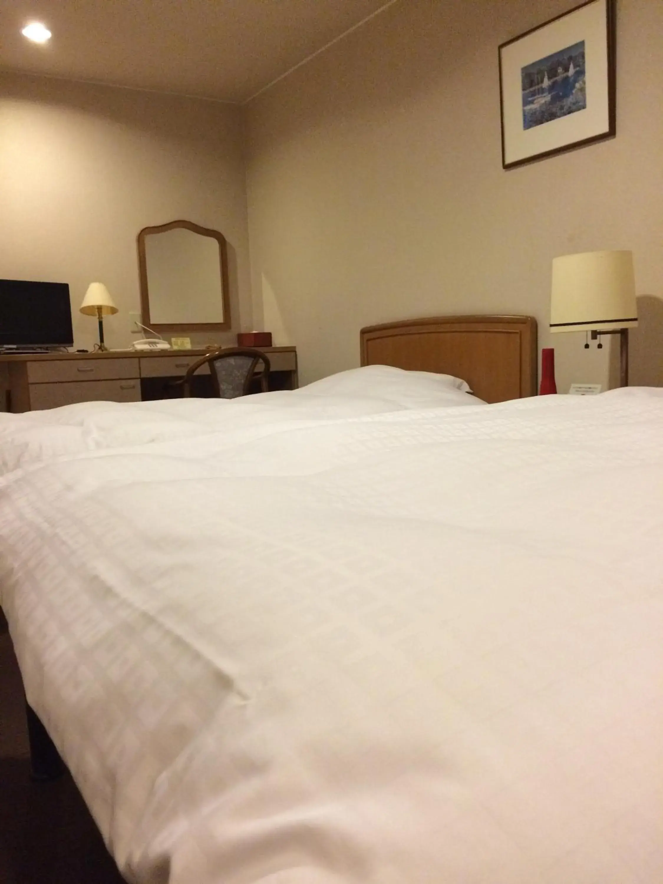 Twin Room - single occupancy in Hotel Park Twin Room - single occupancy in Hotel Park