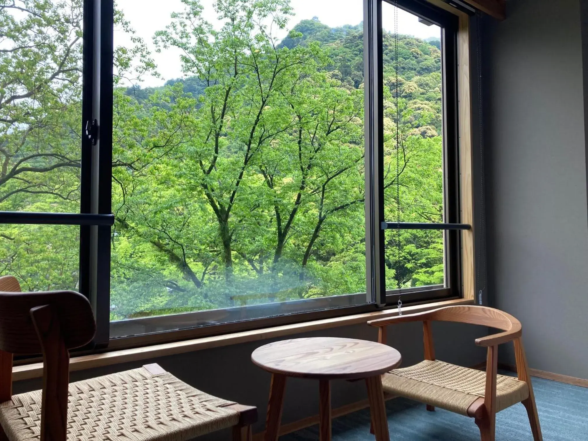 Twin Room - single occupancy in Hotel Park Twin Room - single occupancy in Hotel Park