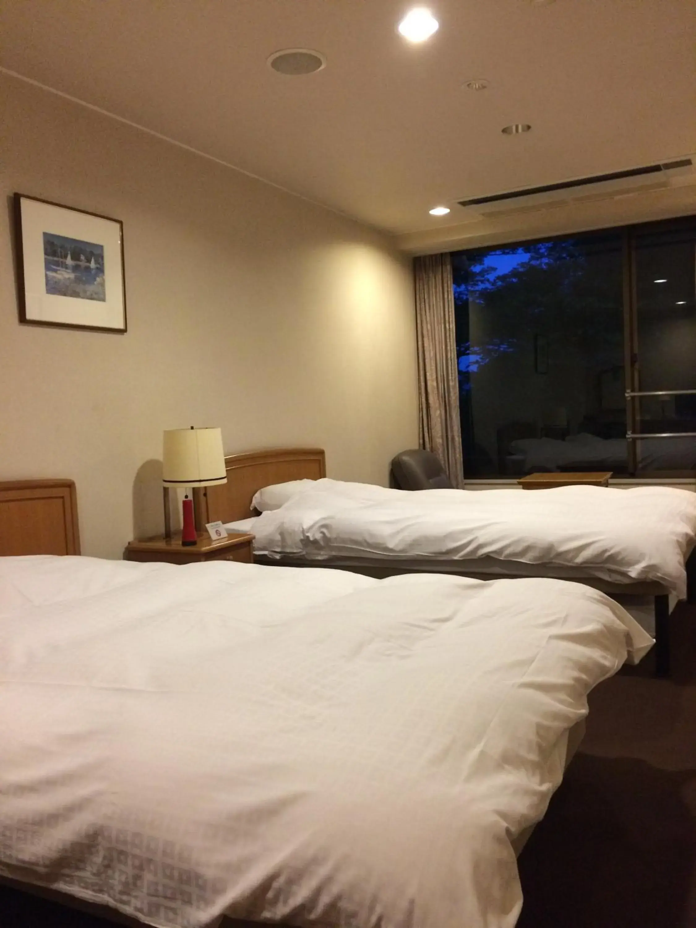 Twin Room - single occupancy in Hotel Park Twin Room - single occupancy in Hotel Park