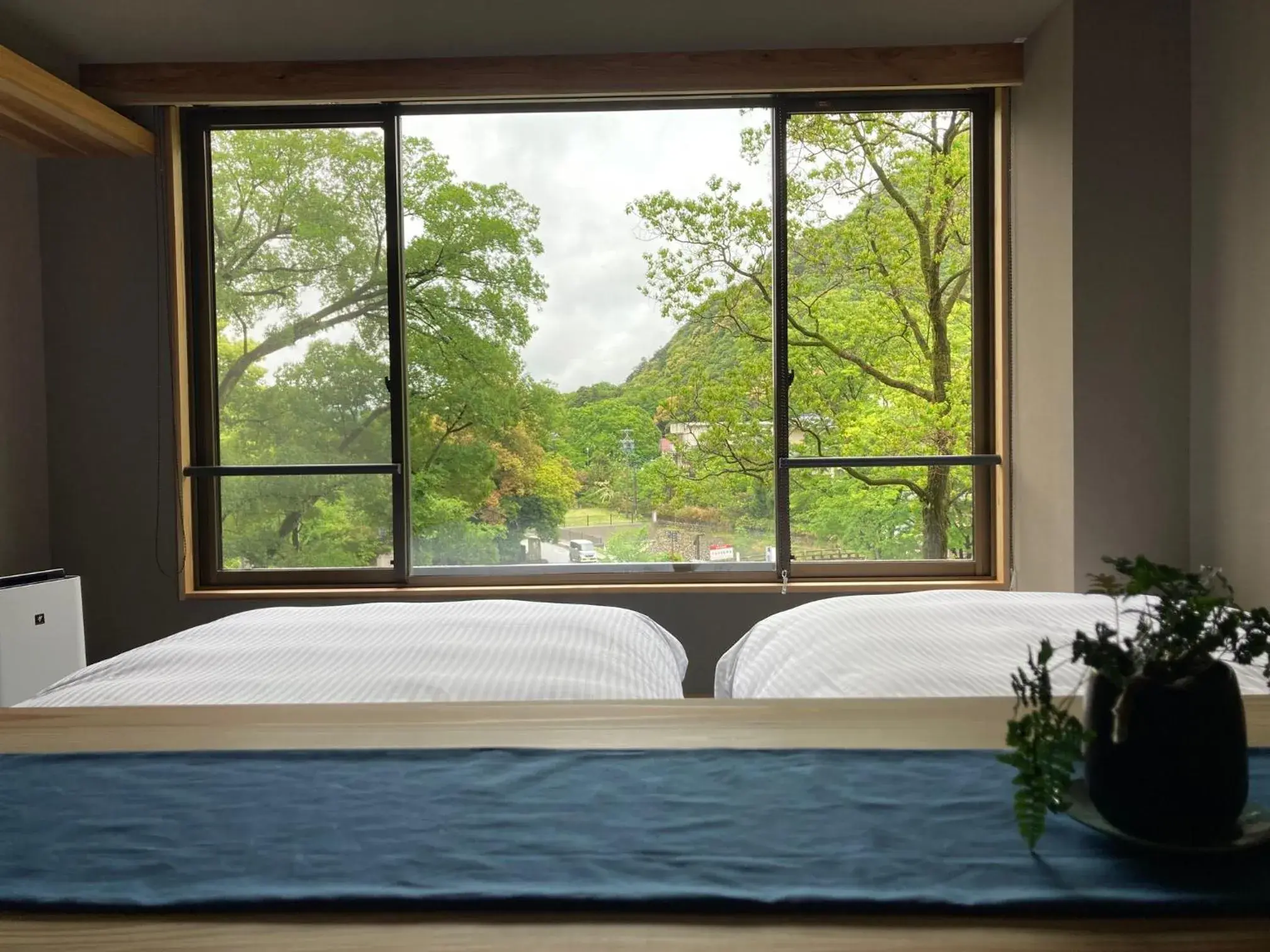 Twin Room - single occupancy in Hotel Park Twin Room - single occupancy in Hotel Park