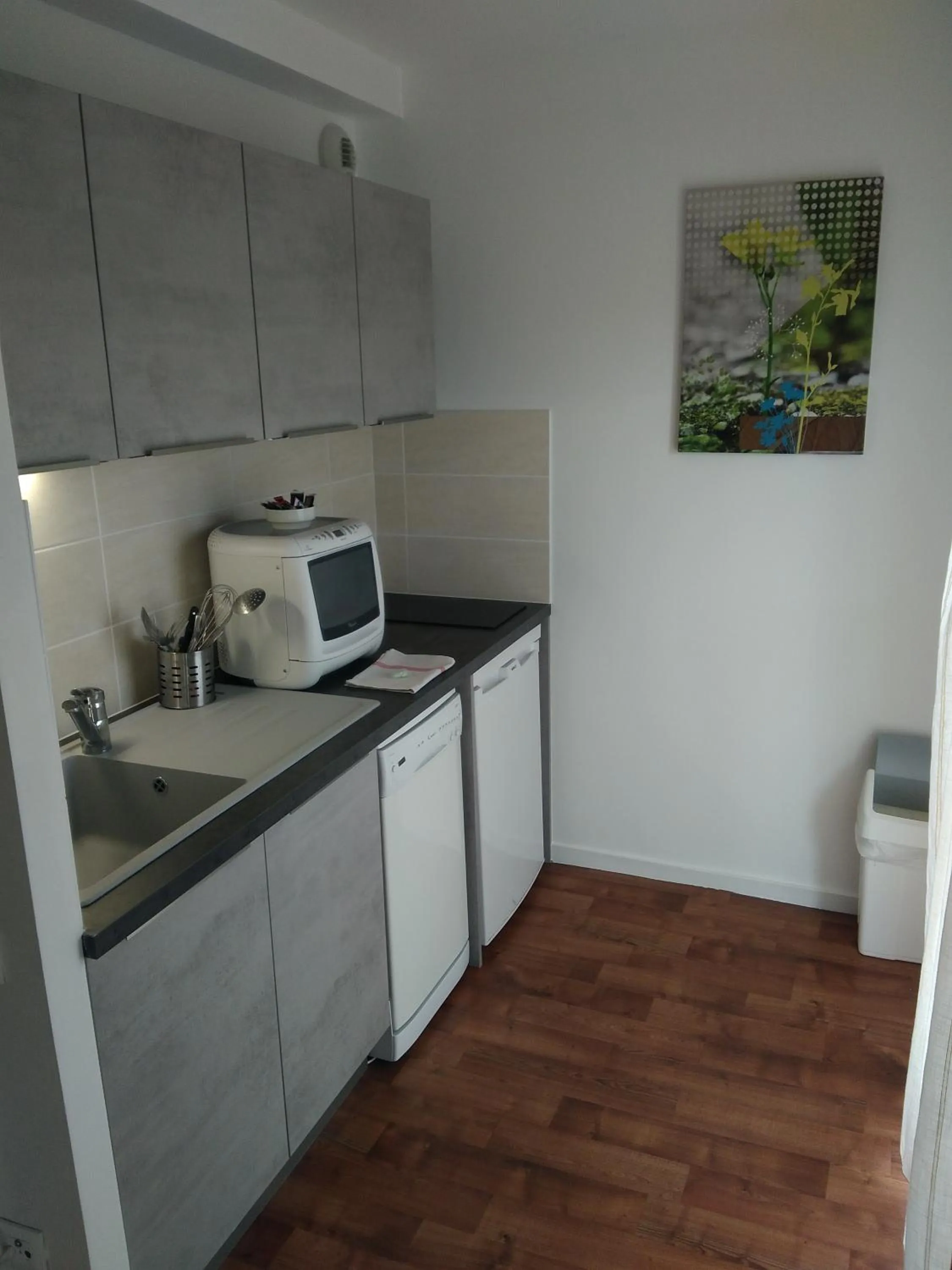 Kitchen or kitchenette in Résidence Carouge Appart Hôtel