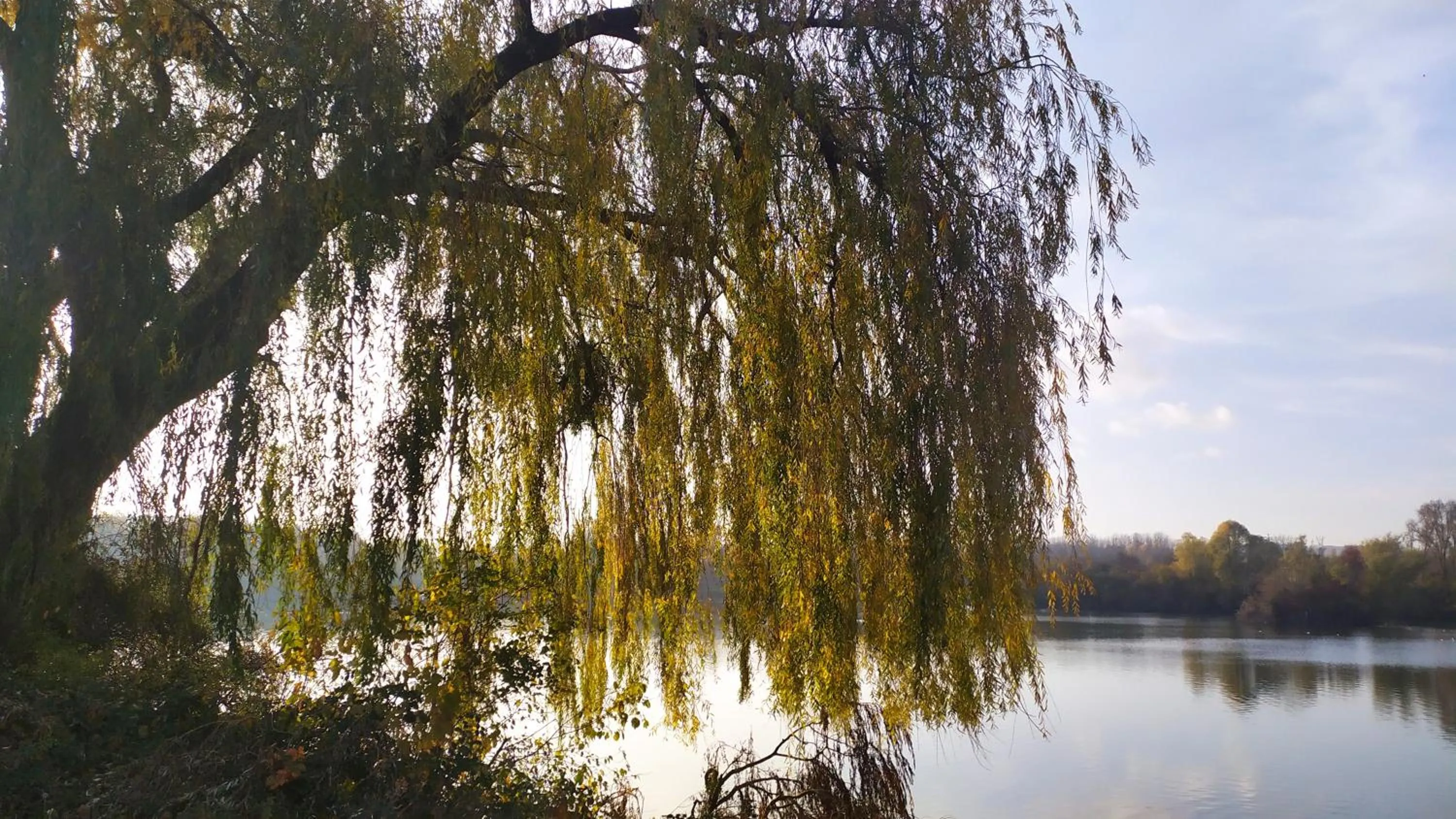 Activities in Résidence Carouge Appart Hôtel