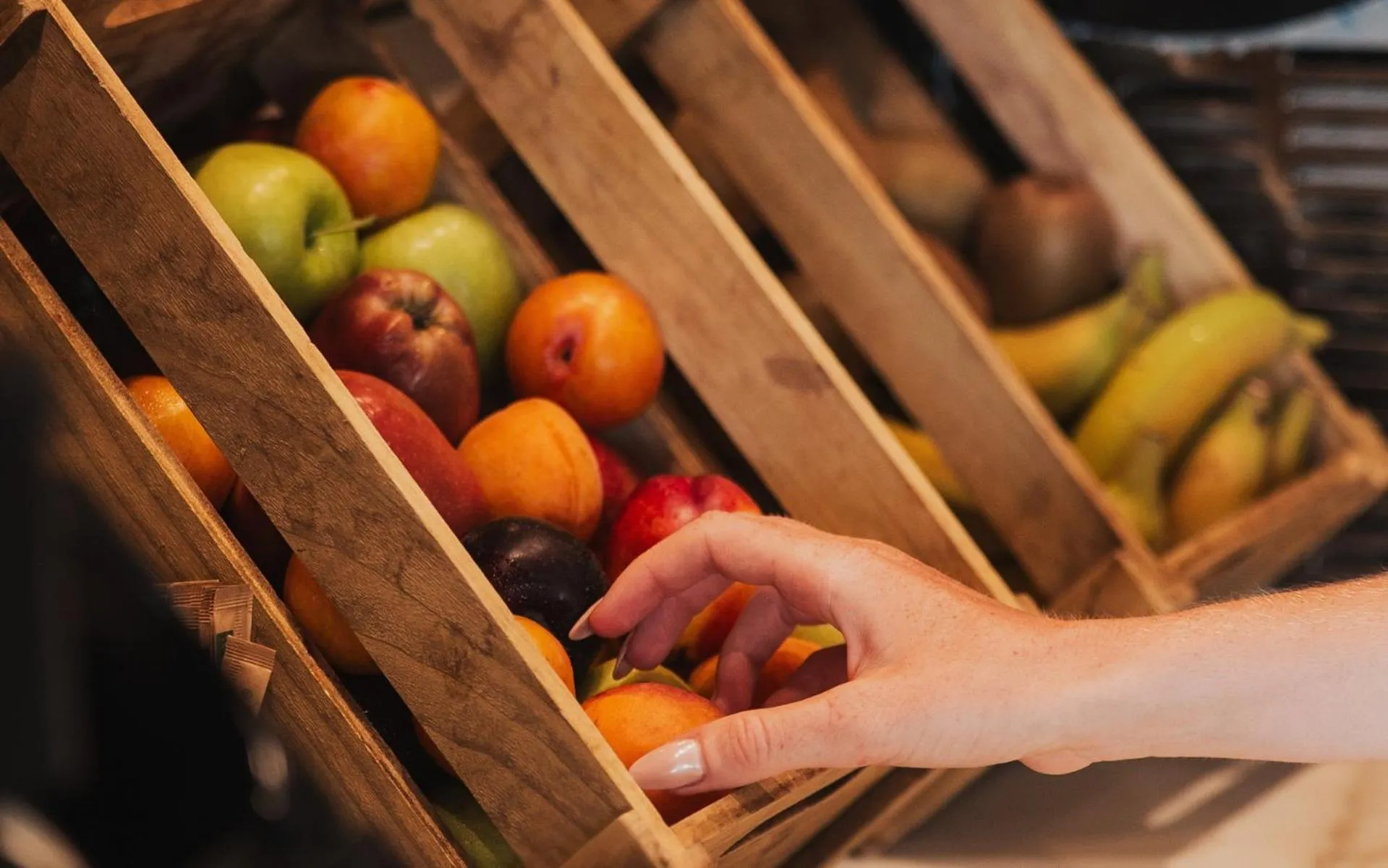 Breakfast in Royal Sun