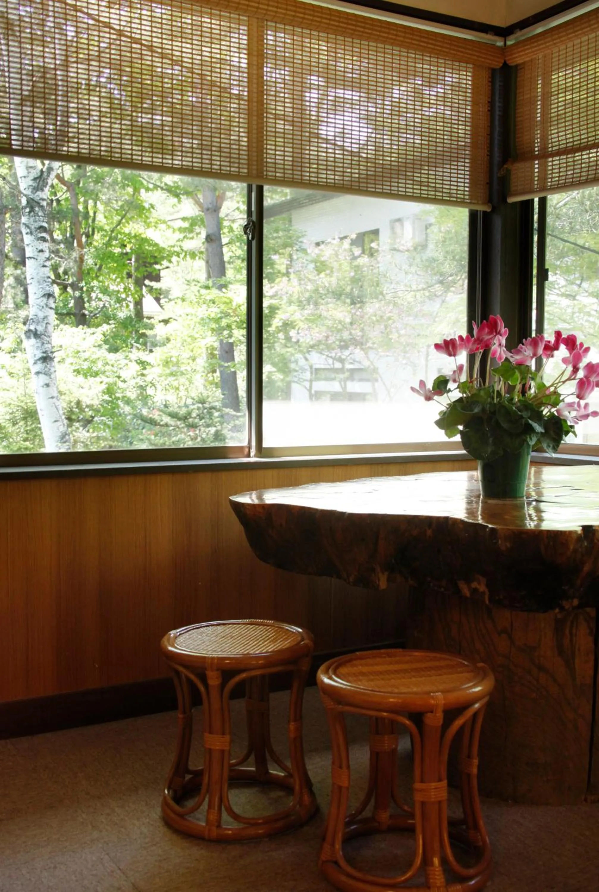 Lounge or bar in ELE Hotel Onsen Ryokufutei