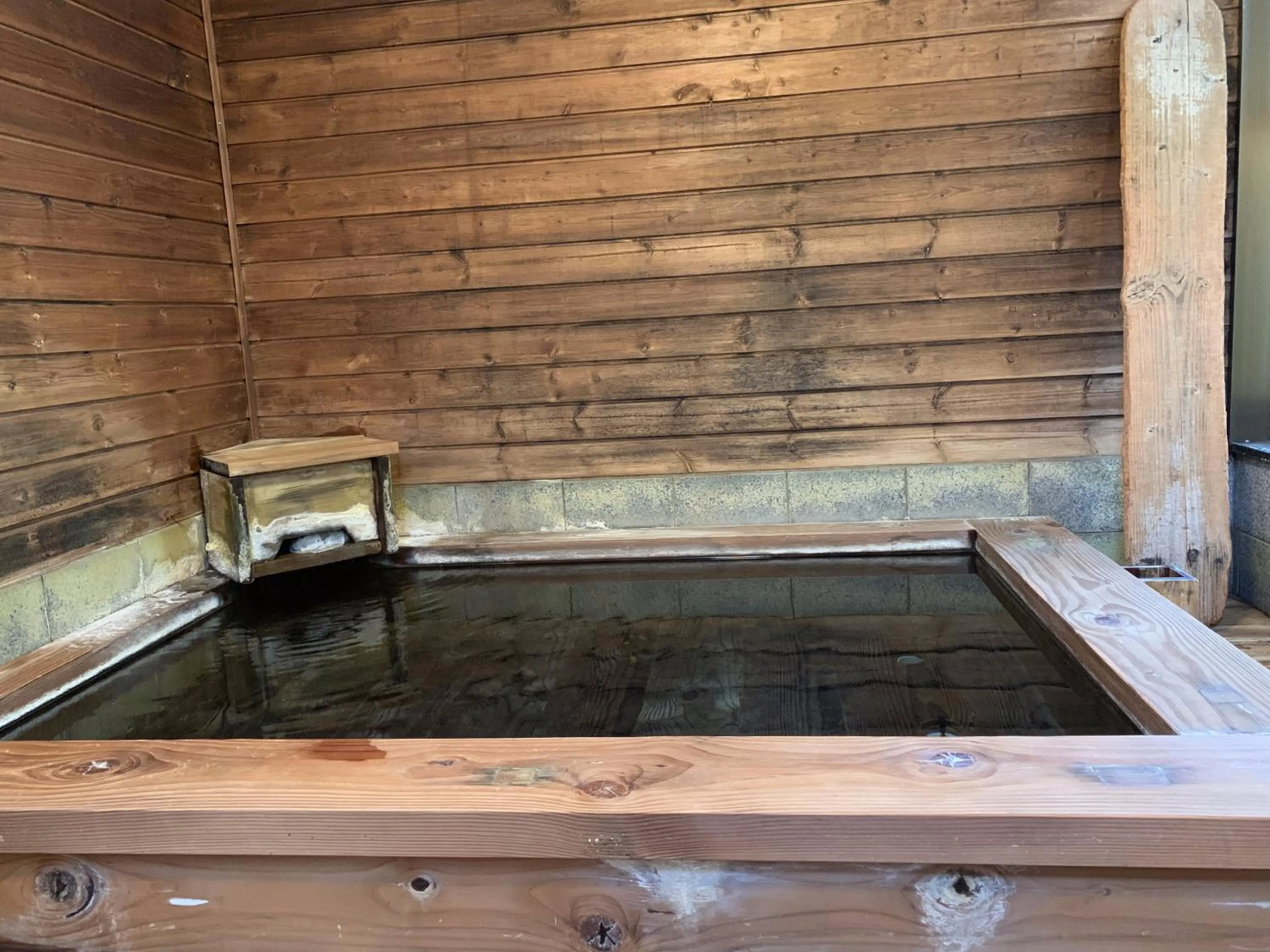 Hot Spring Bath in ELE Hotel Onsen Ryokufutei