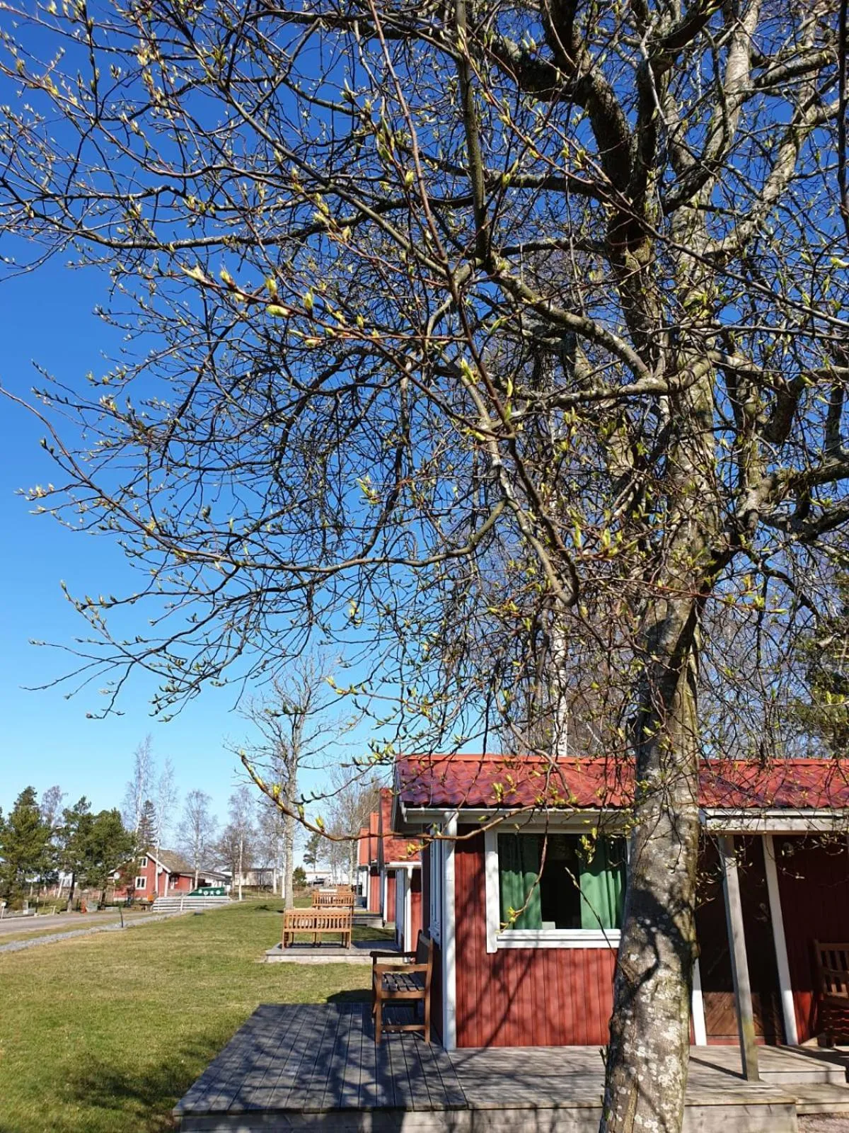 Askeviks Camping & Stugor