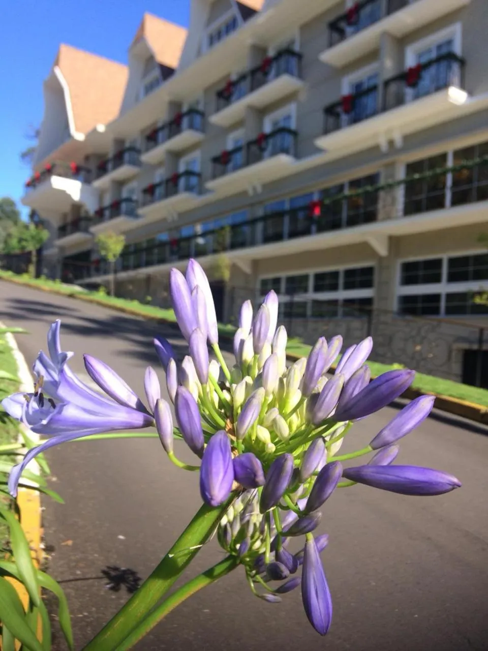 Property building in Daara Transamerica Collection Gramado