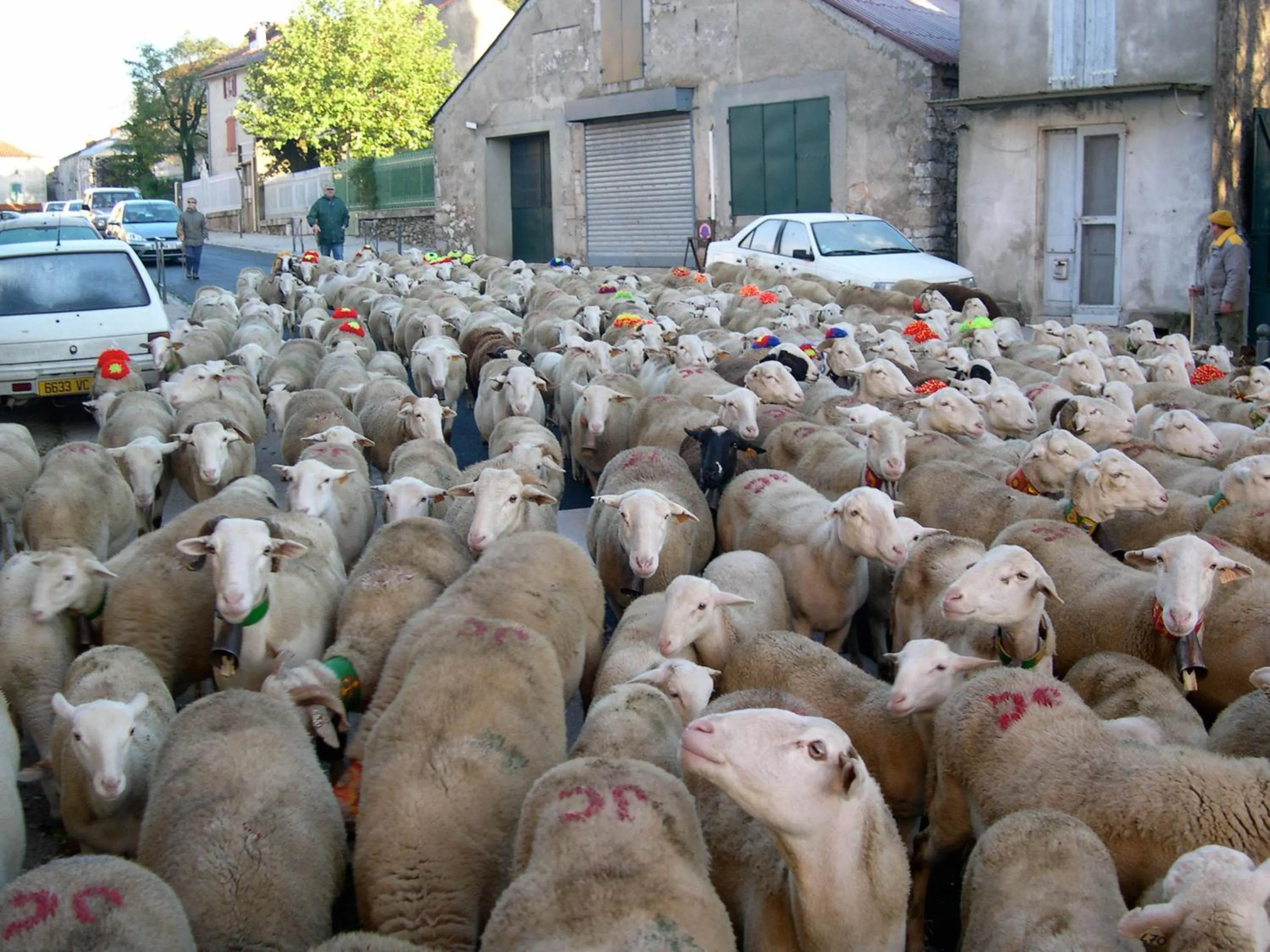 Other in Le Barry du Grand Chemin