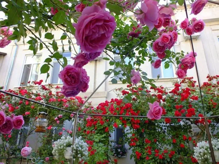 Residenza Dutzu-Boutique Hotel