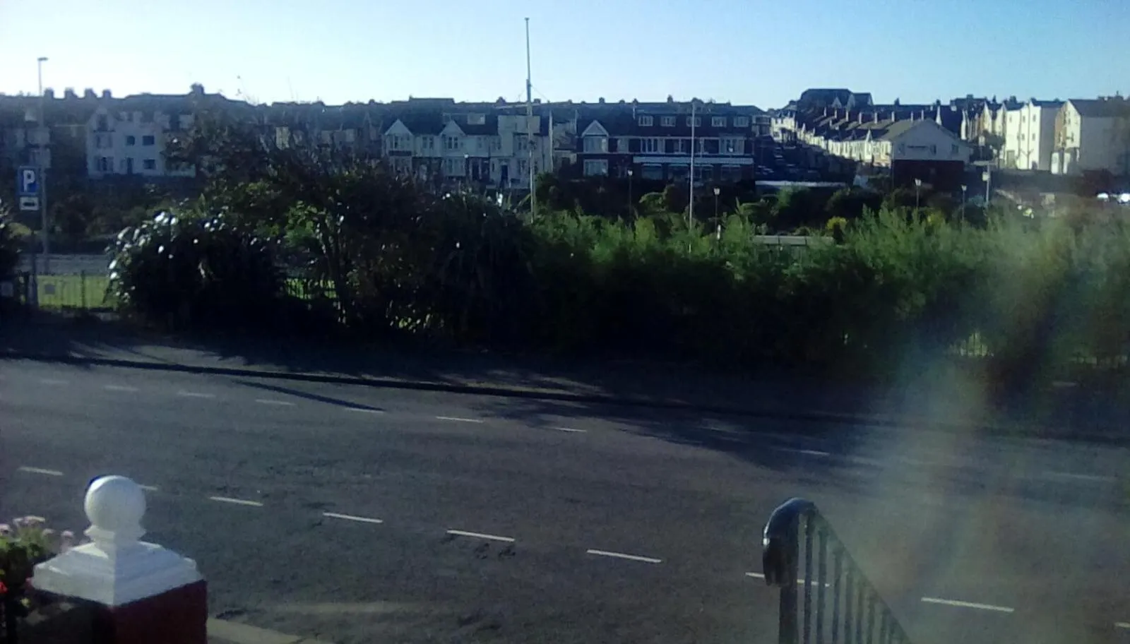 Street view in The braeside families and couples