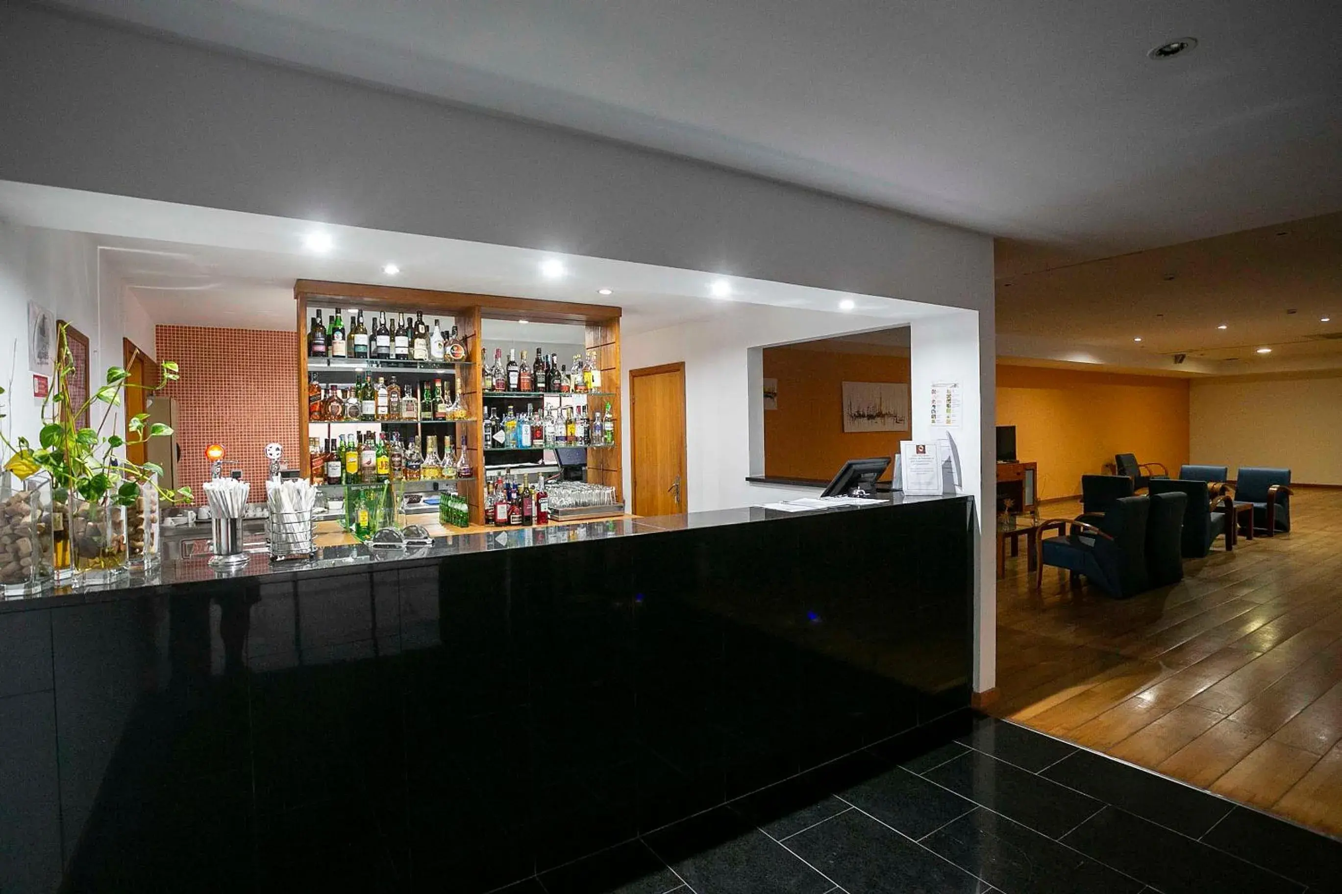 Lounge or bar in Hotel Colombo Lounge or bar in Hotel Colombo