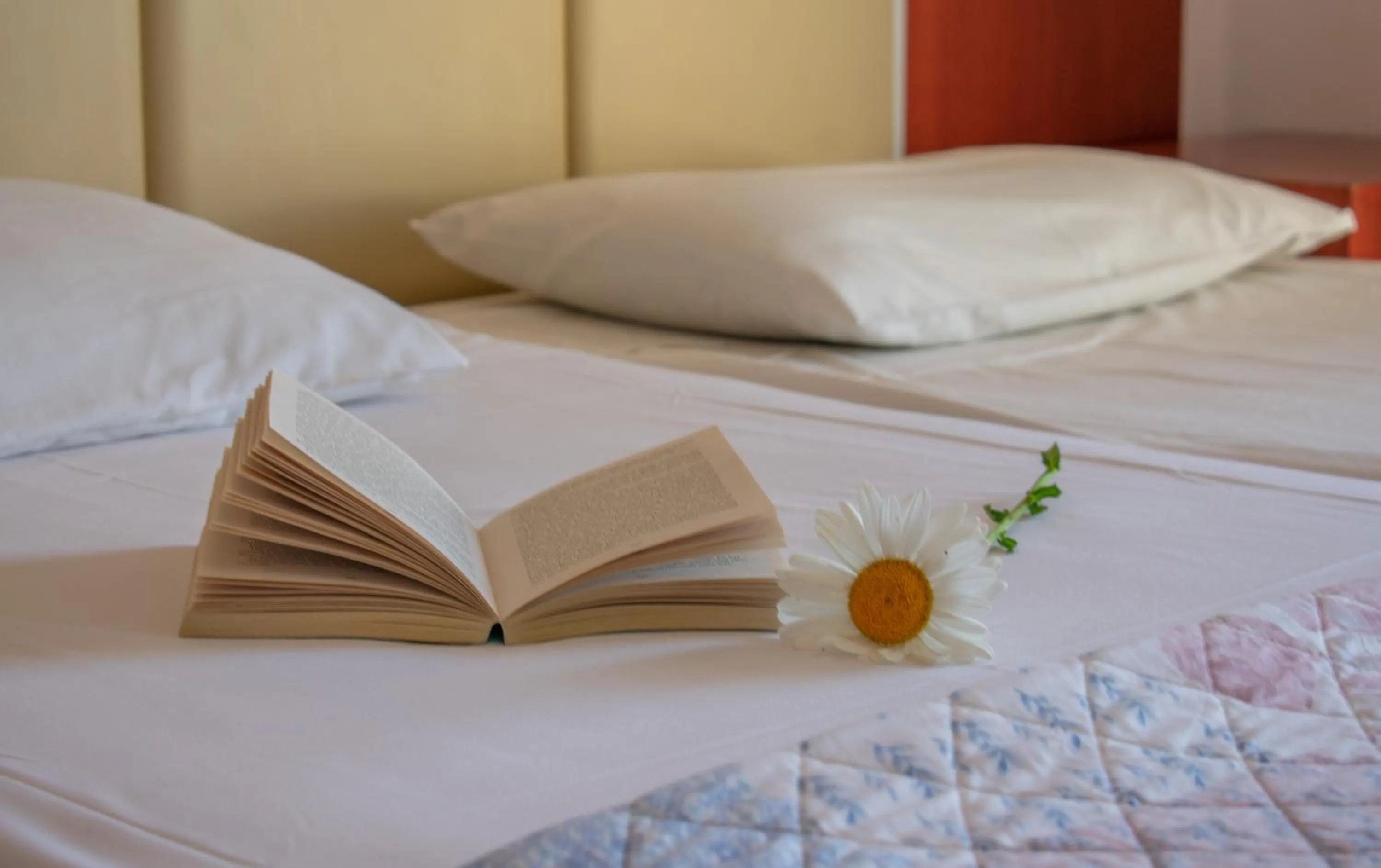 Bed in Agoulos Beach Hotel