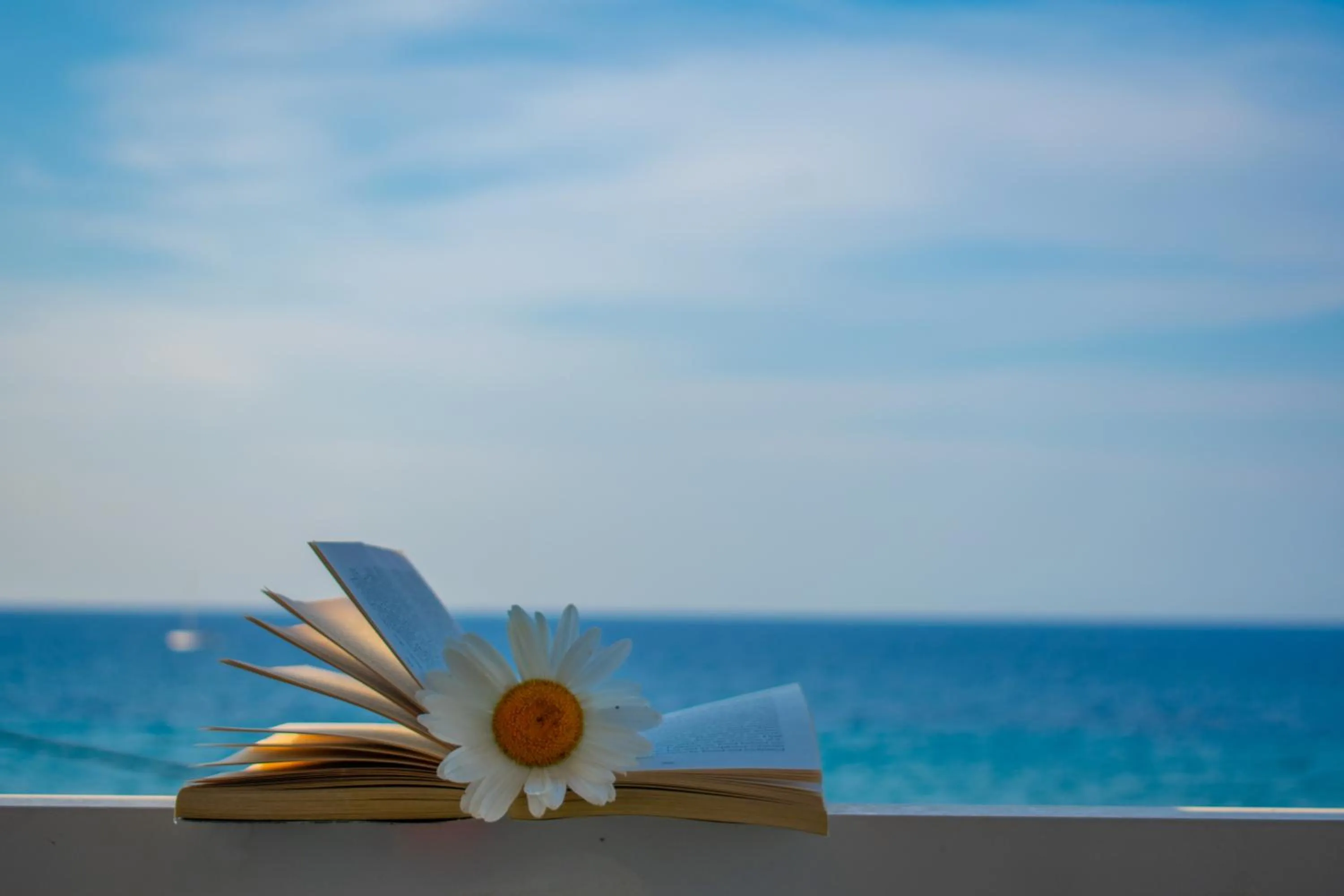 Sea view in Agoulos Beach Hotel