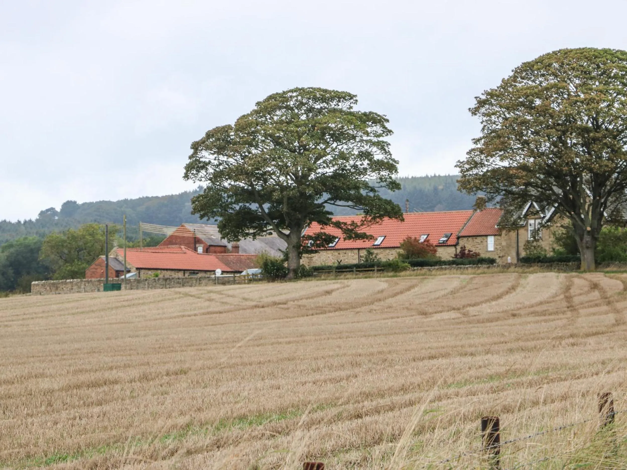 Property building in Cross Cottage