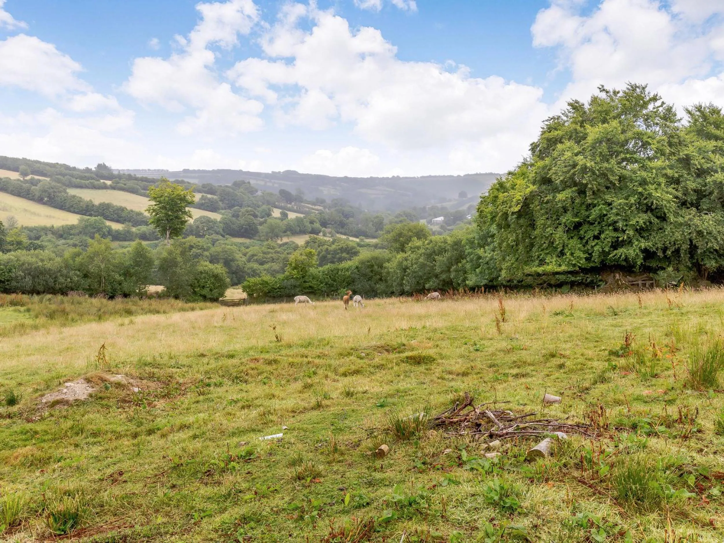 Property building in Foxlair Cottage