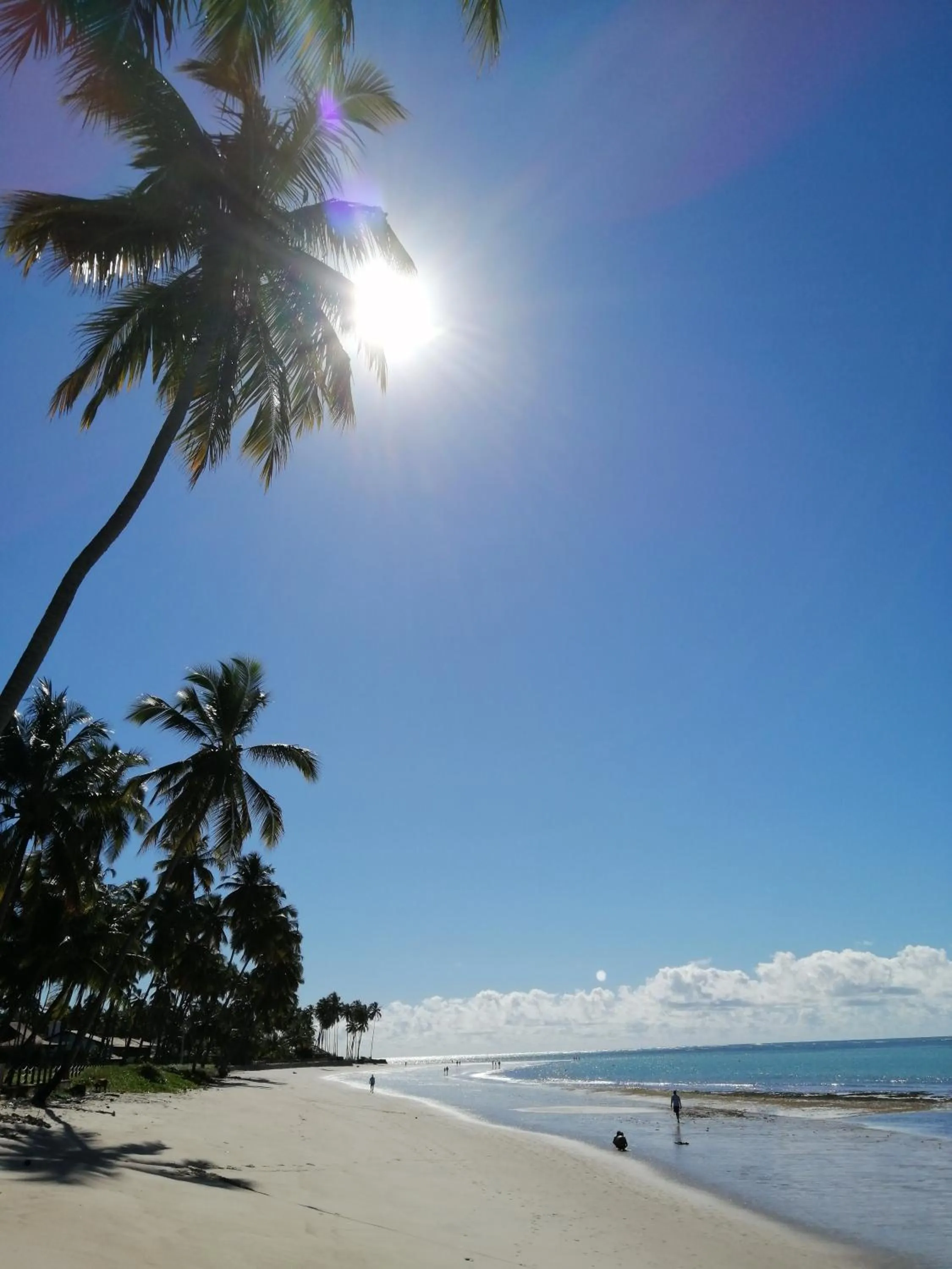 Beach in Carneiros Paradiso