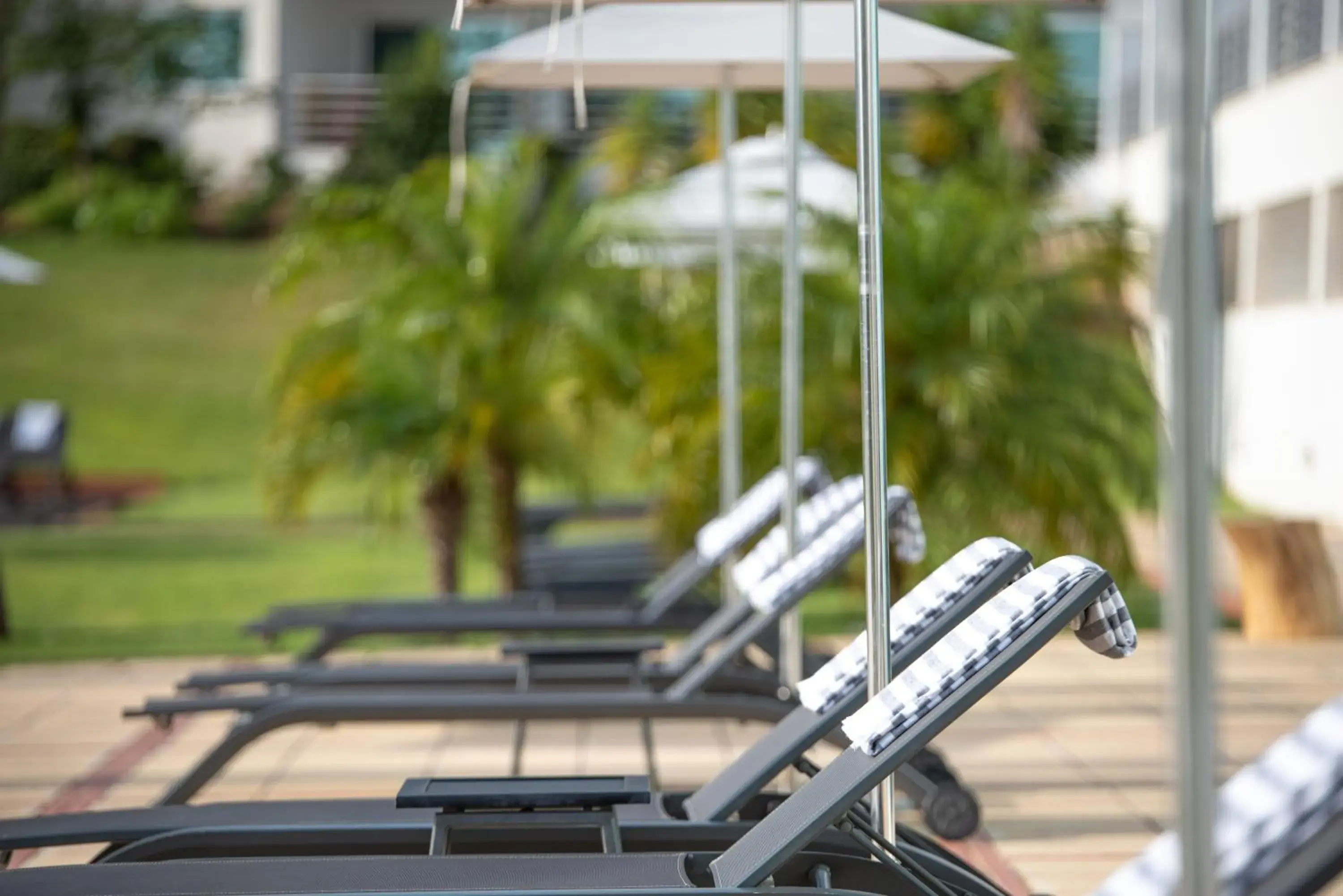 sunbed in Vista Marina Apartamentos Turisticos sunbed in Vista Marina Apartamentos Turisticos