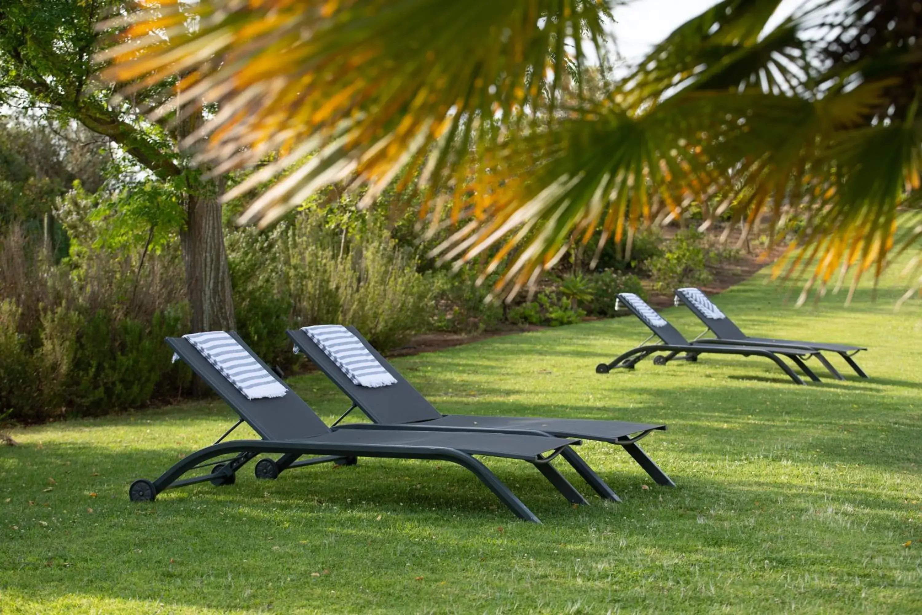 Natural landscape in Vista Marina Apartamentos Turisticos Natural landscape in Vista Marina Apartamentos Turisticos