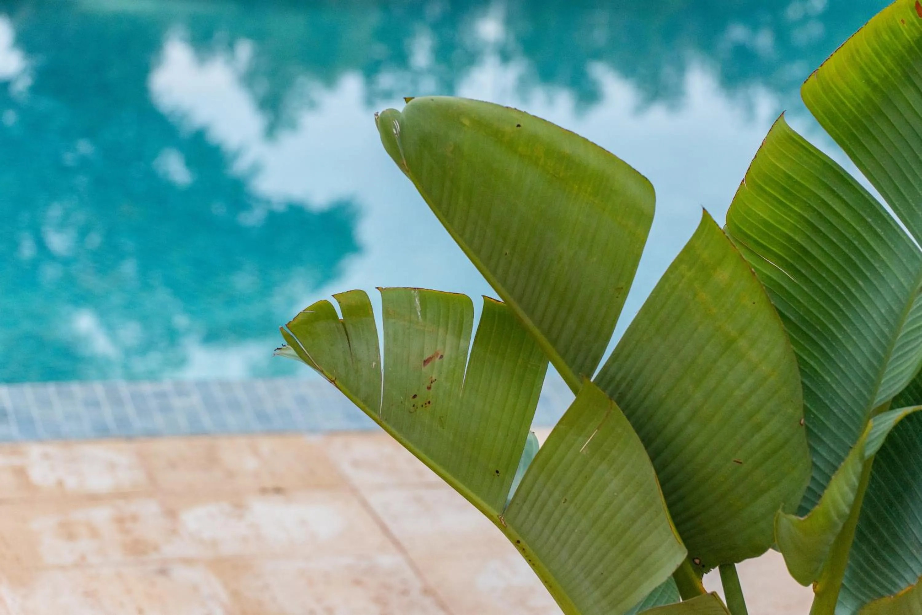 Natural landscape in Vista Marina Apartamentos Turisticos