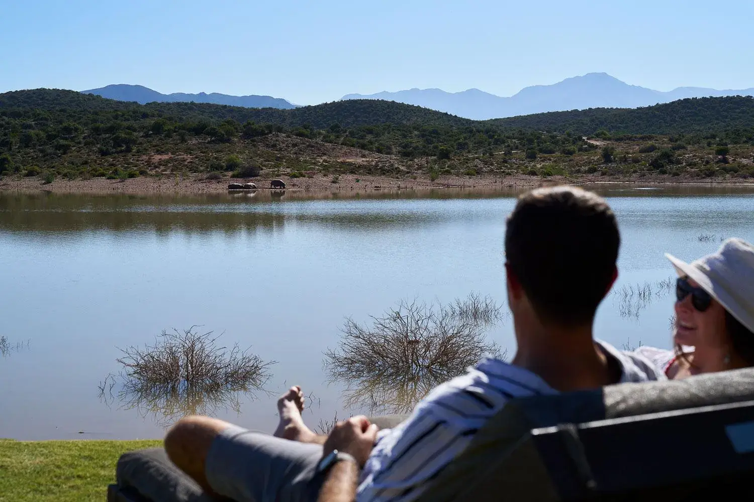 Pool view in Buffelsdrift Game Lodge Pool view in Buffelsdrift Game Lodge