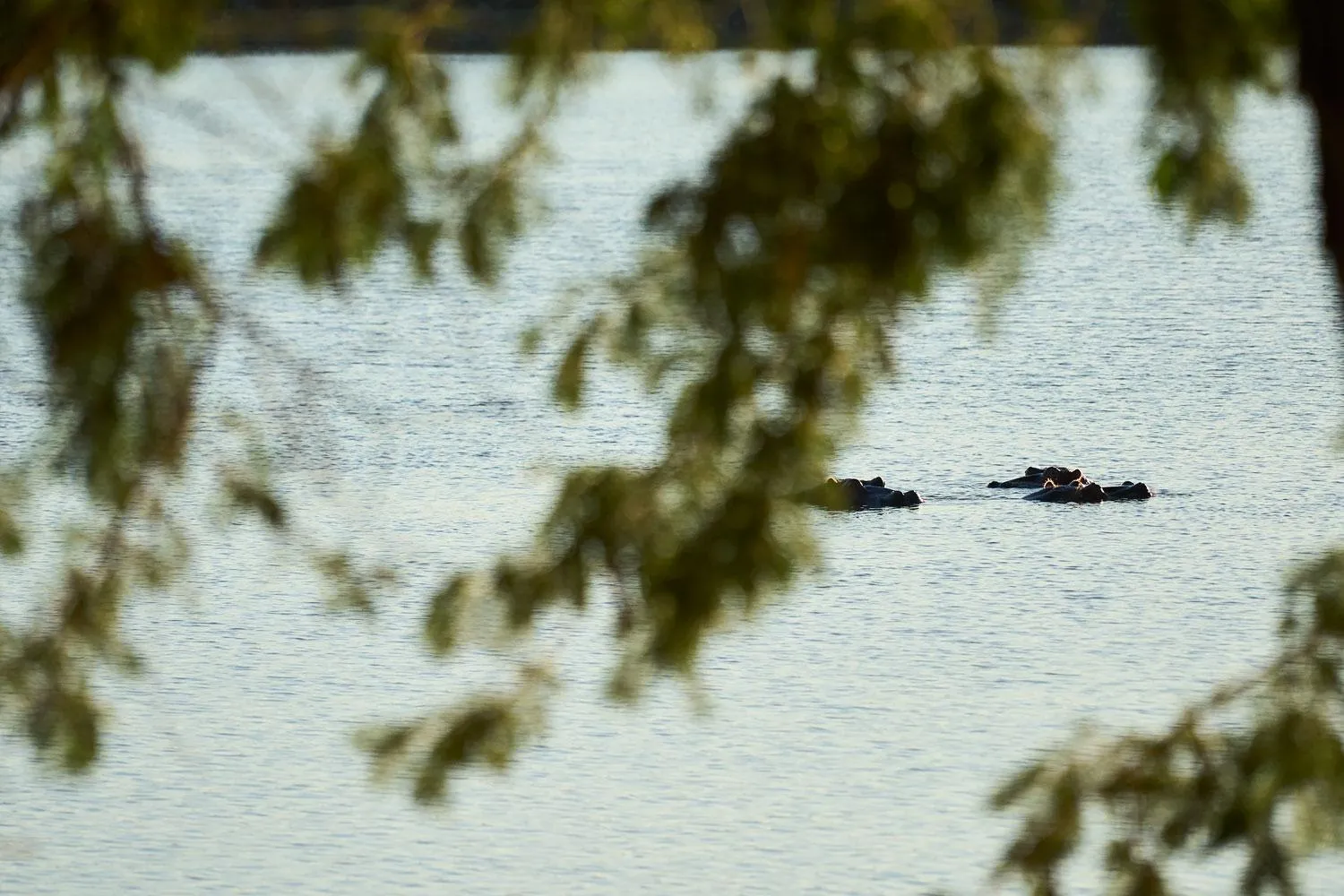Natural landscape in Buffelsdrift Game Lodge