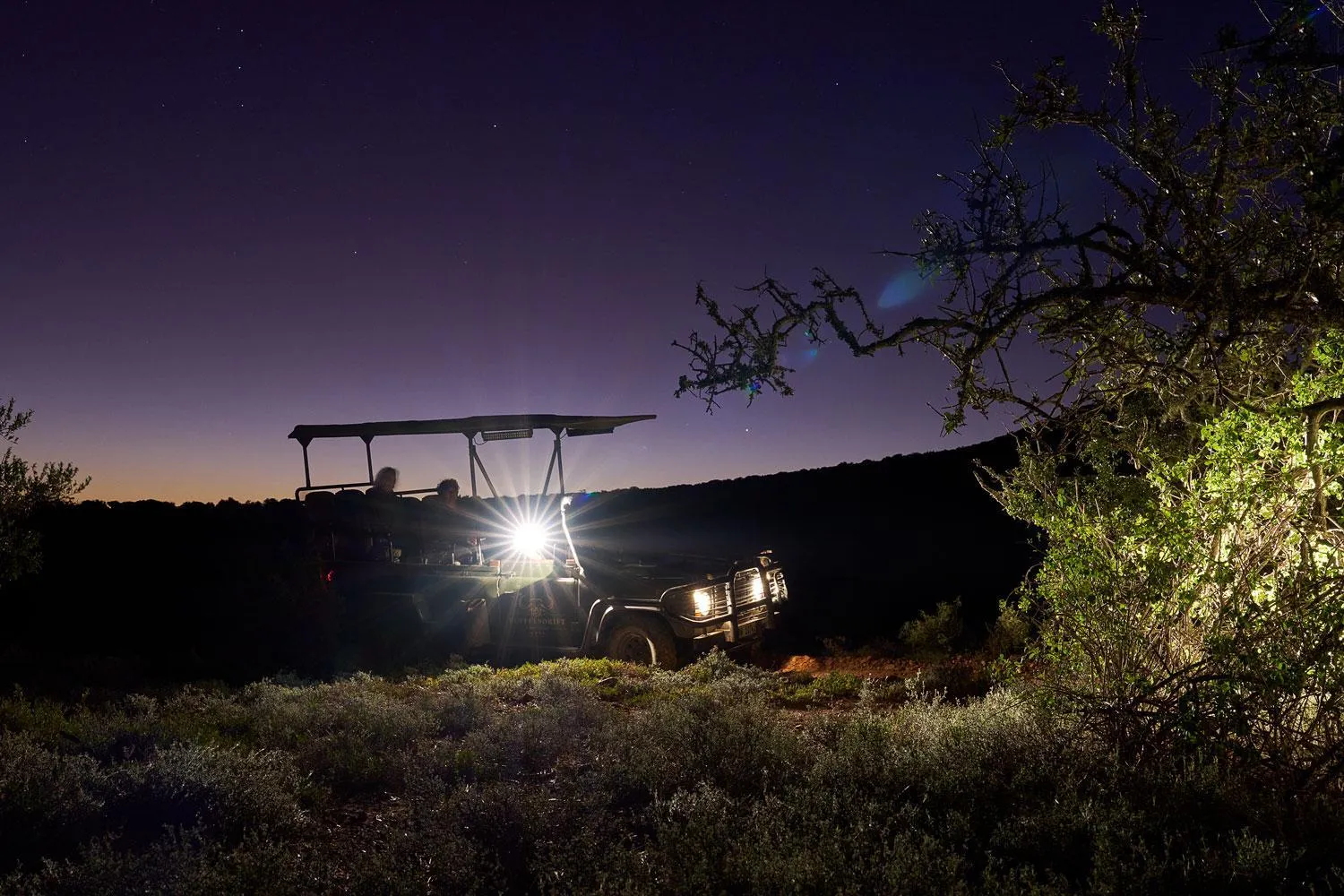 Activities in Buffelsdrift Game Lodge