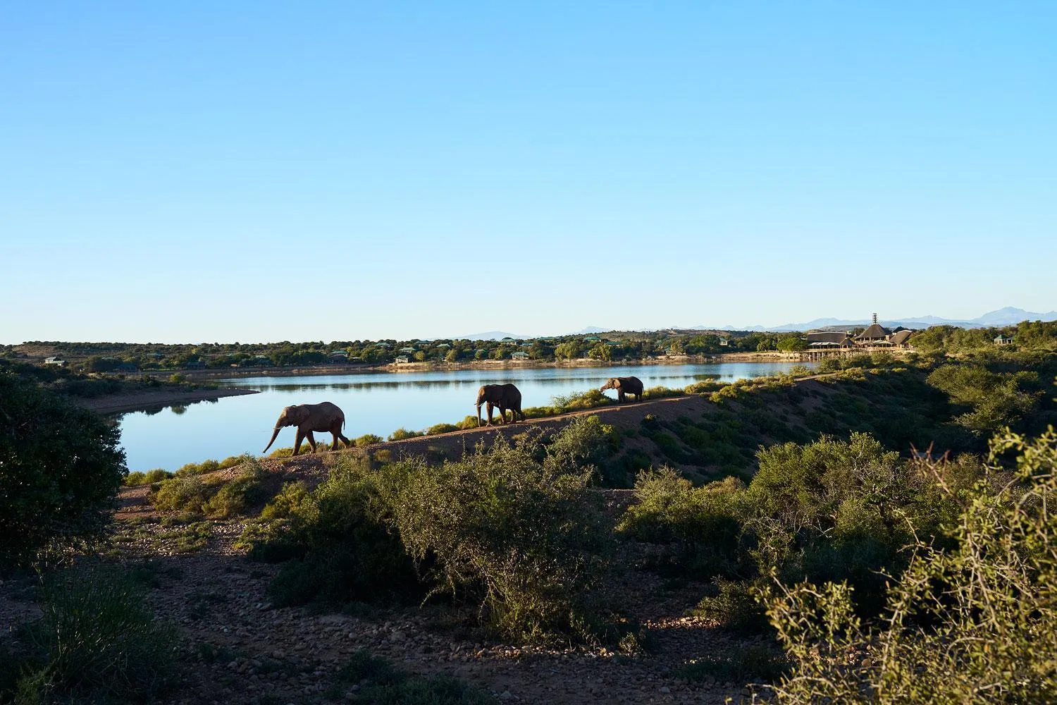 Property building in Buffelsdrift Game Lodge