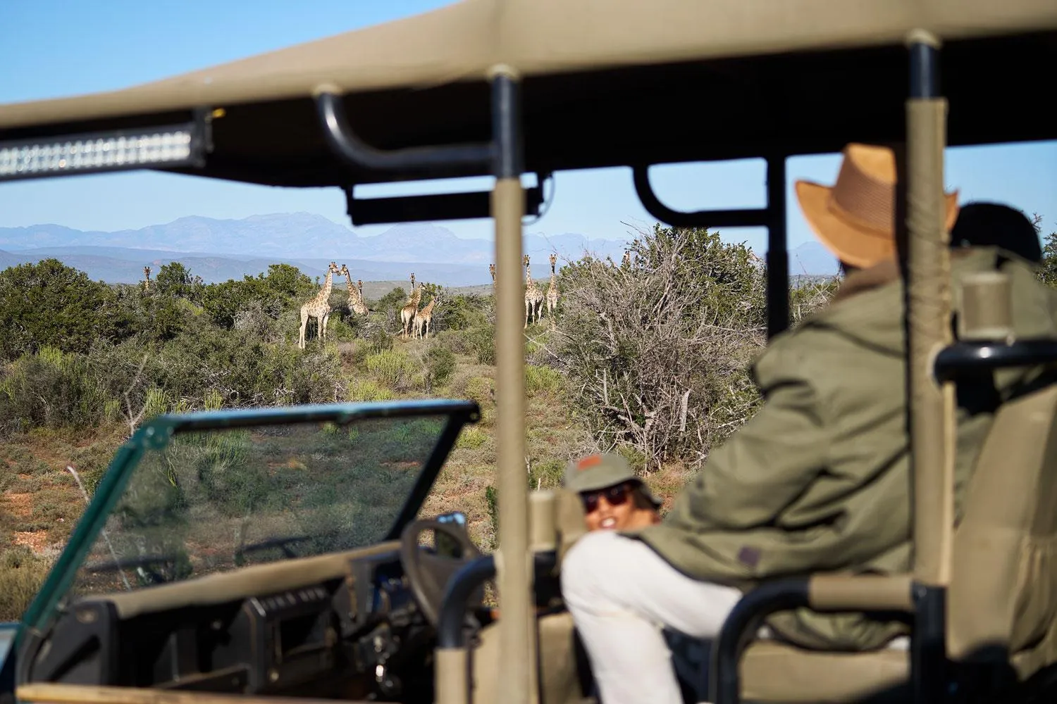 Activities in Buffelsdrift Game Lodge