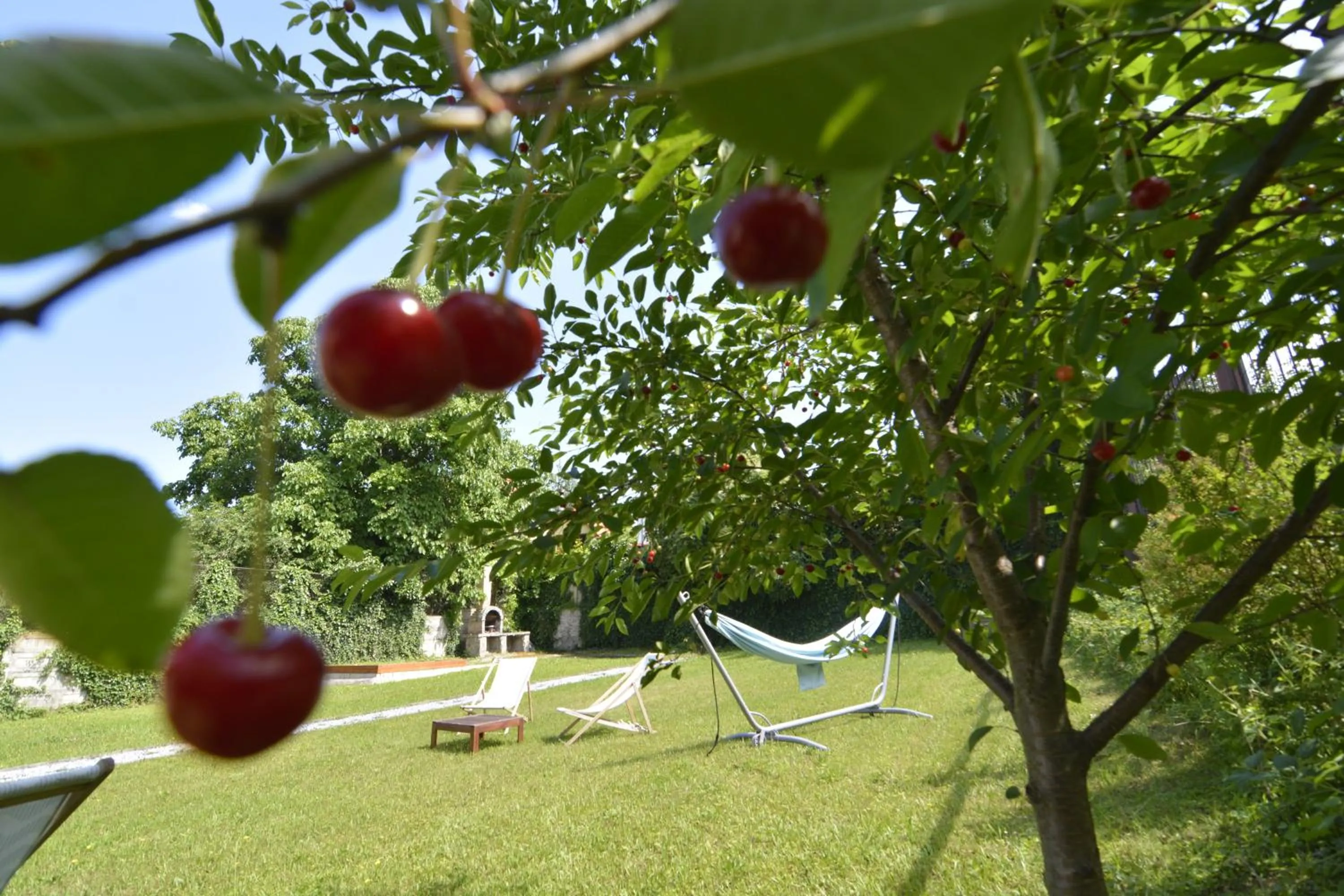 Food and drinks in Republique