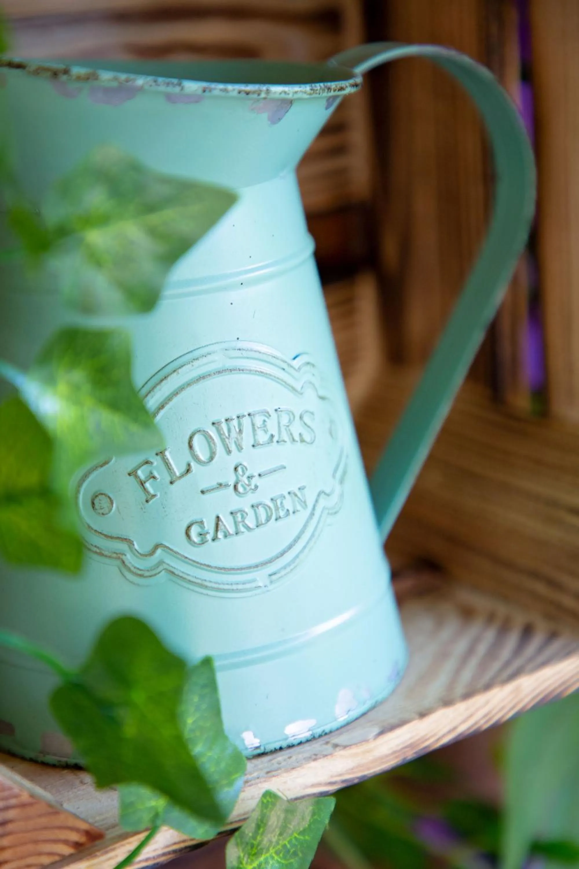 Les Pins Blancs en Provence