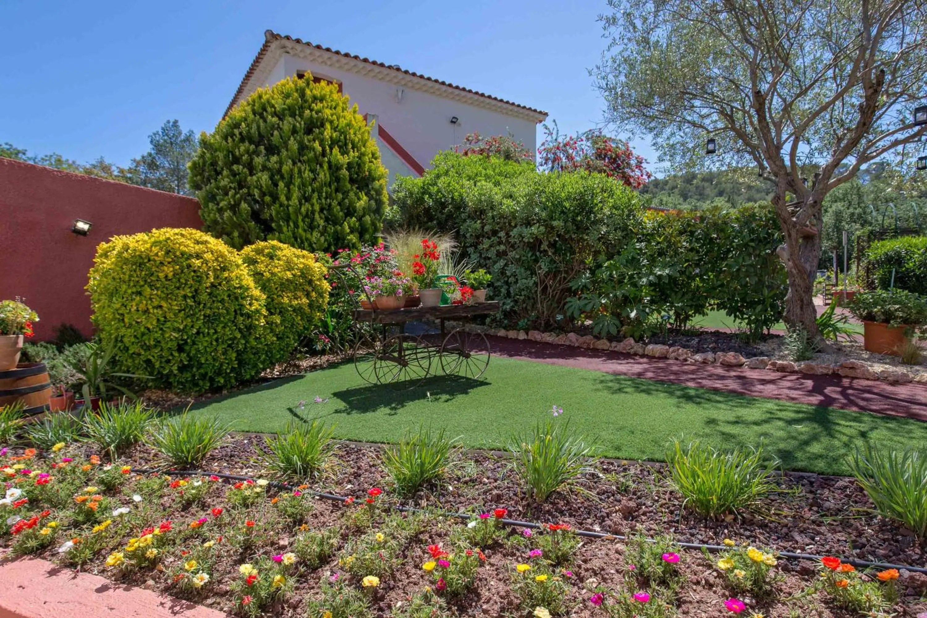 Les Pins Blancs en Provence