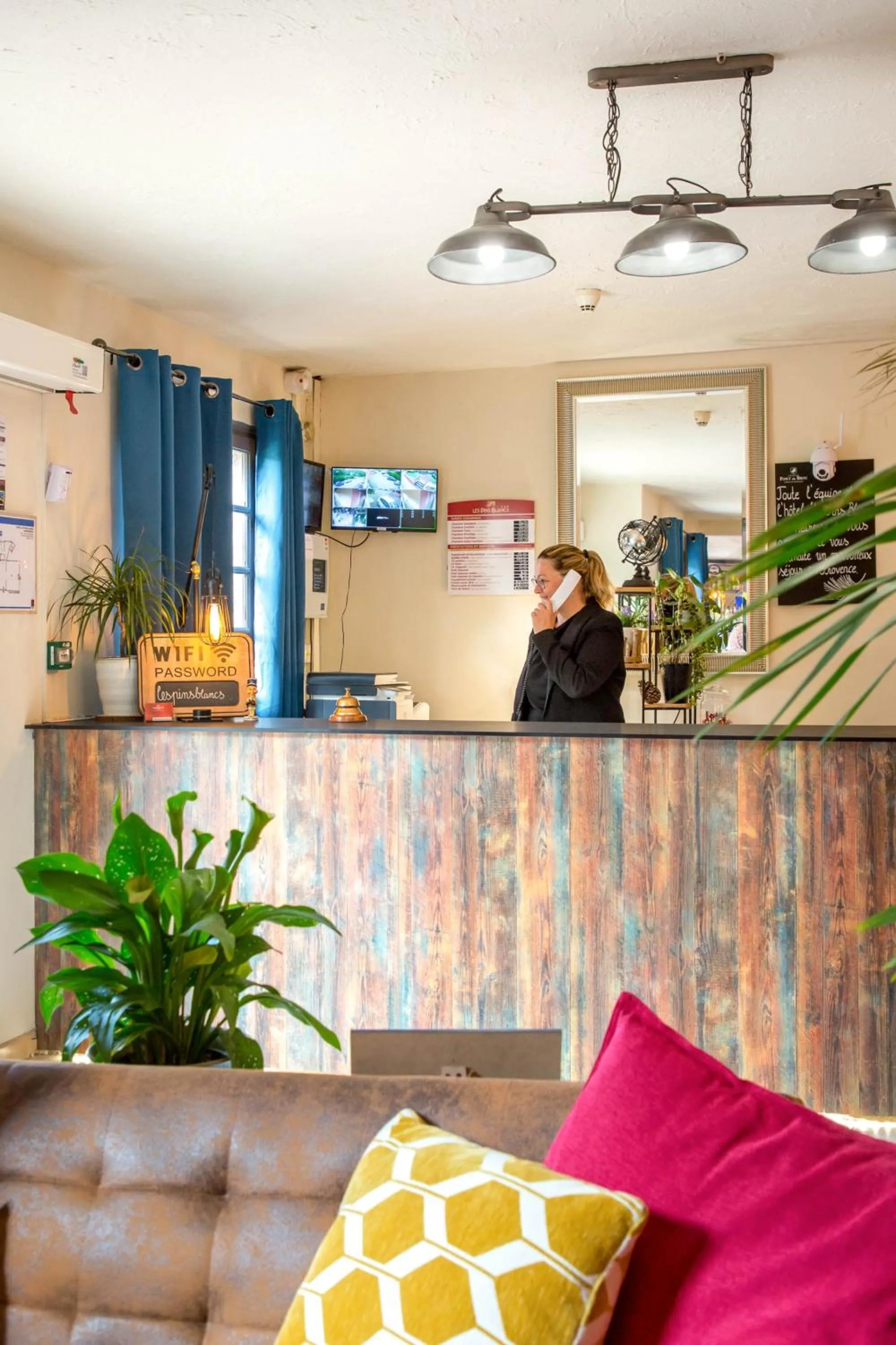 Les Pins Blancs en Provence