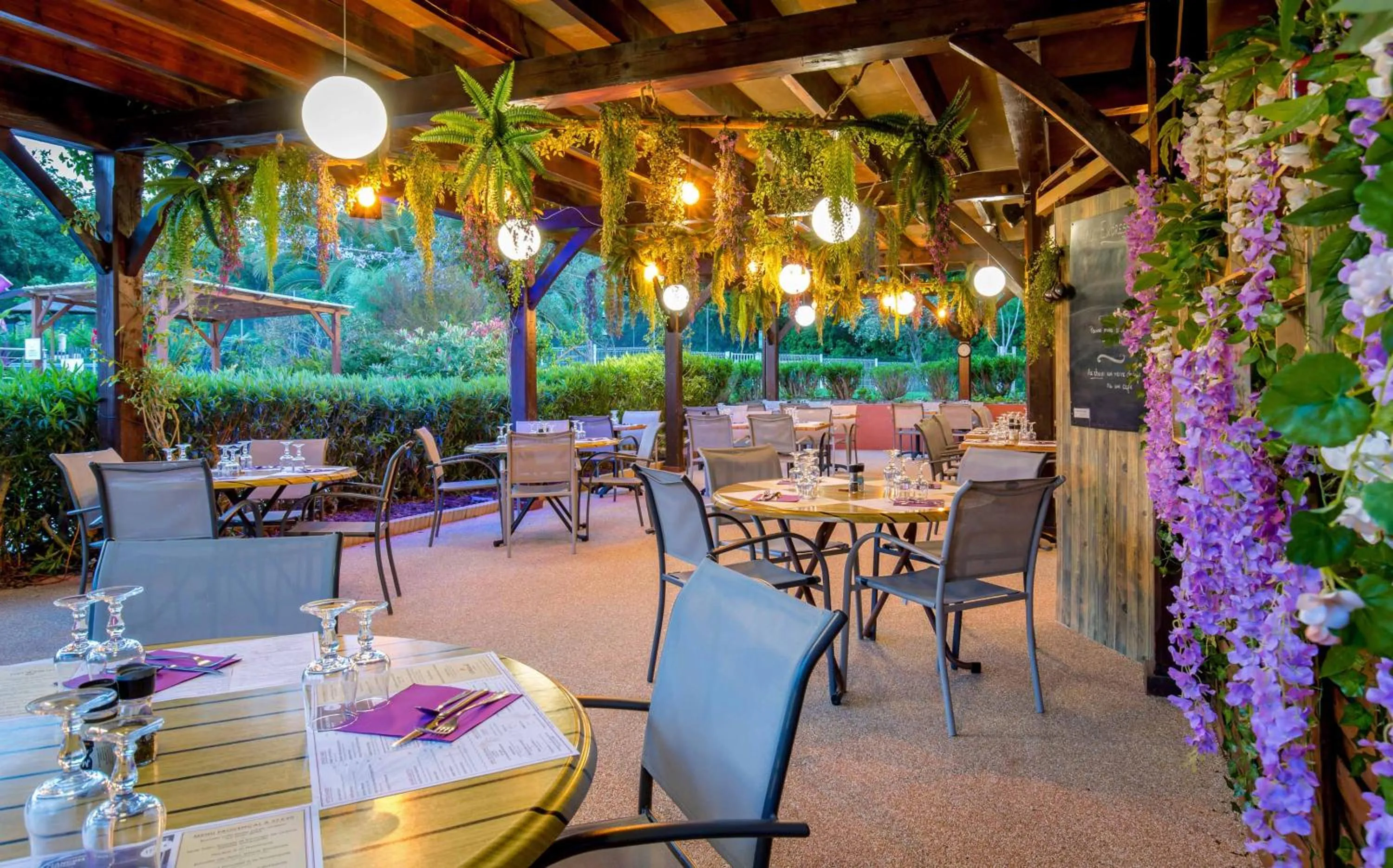 Les Pins Blancs en Provence