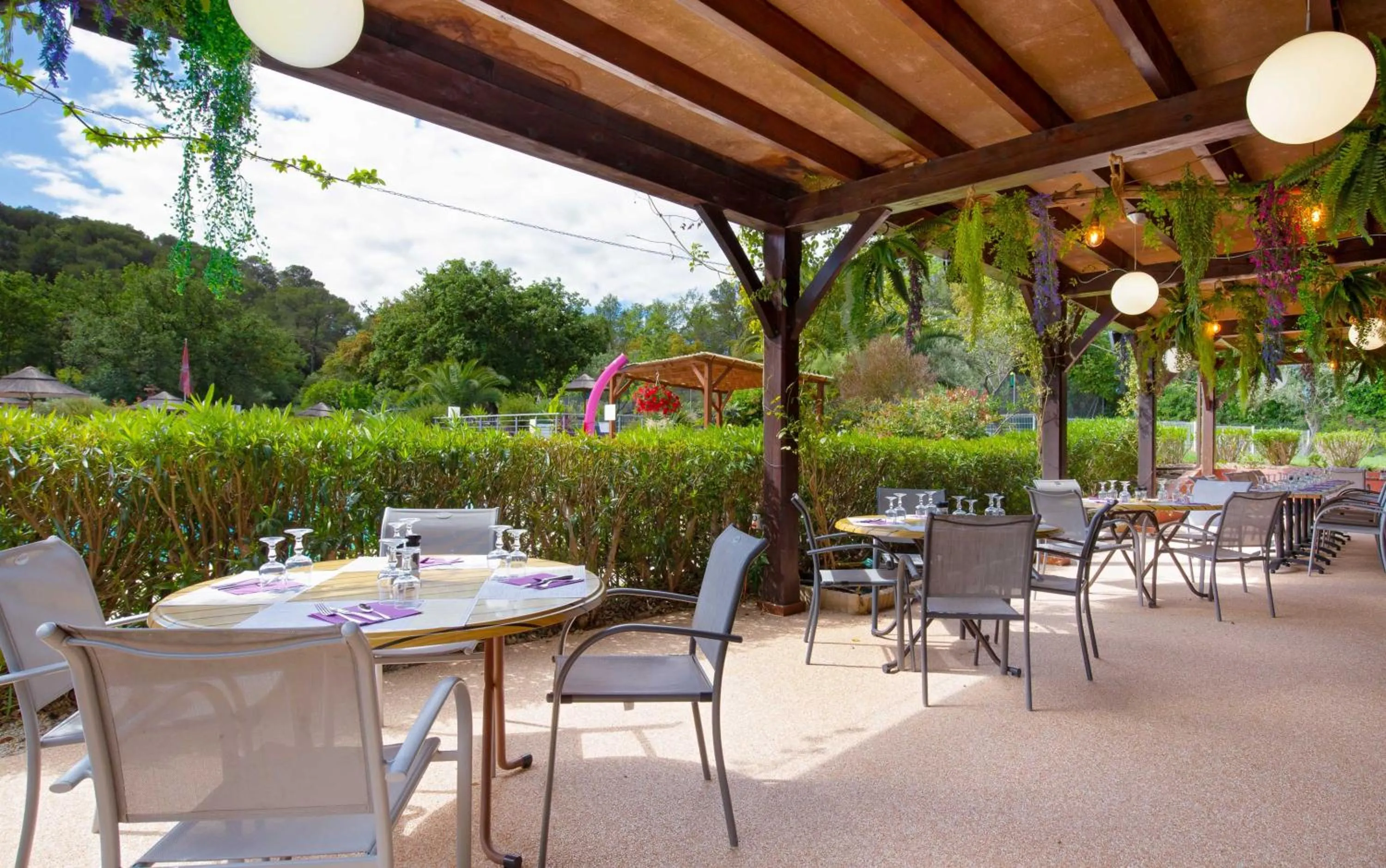 Les Pins Blancs en Provence