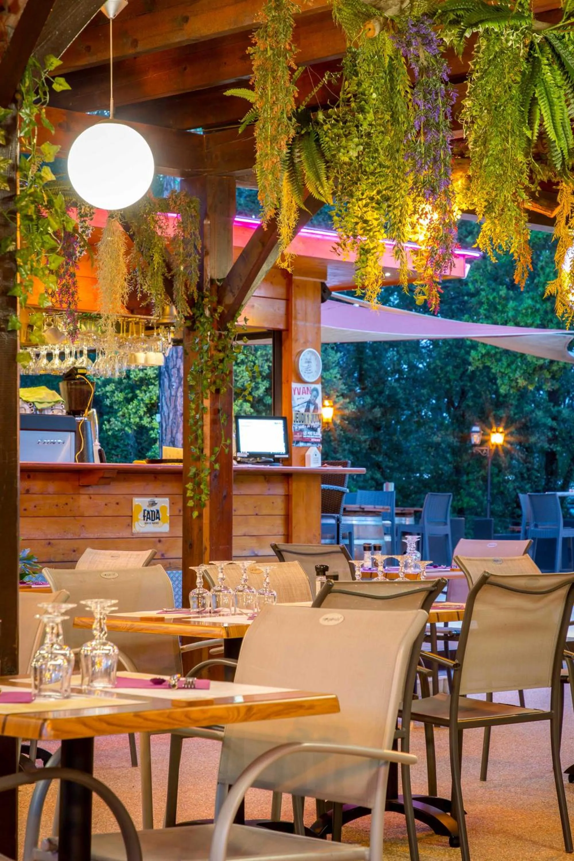 Les Pins Blancs en Provence