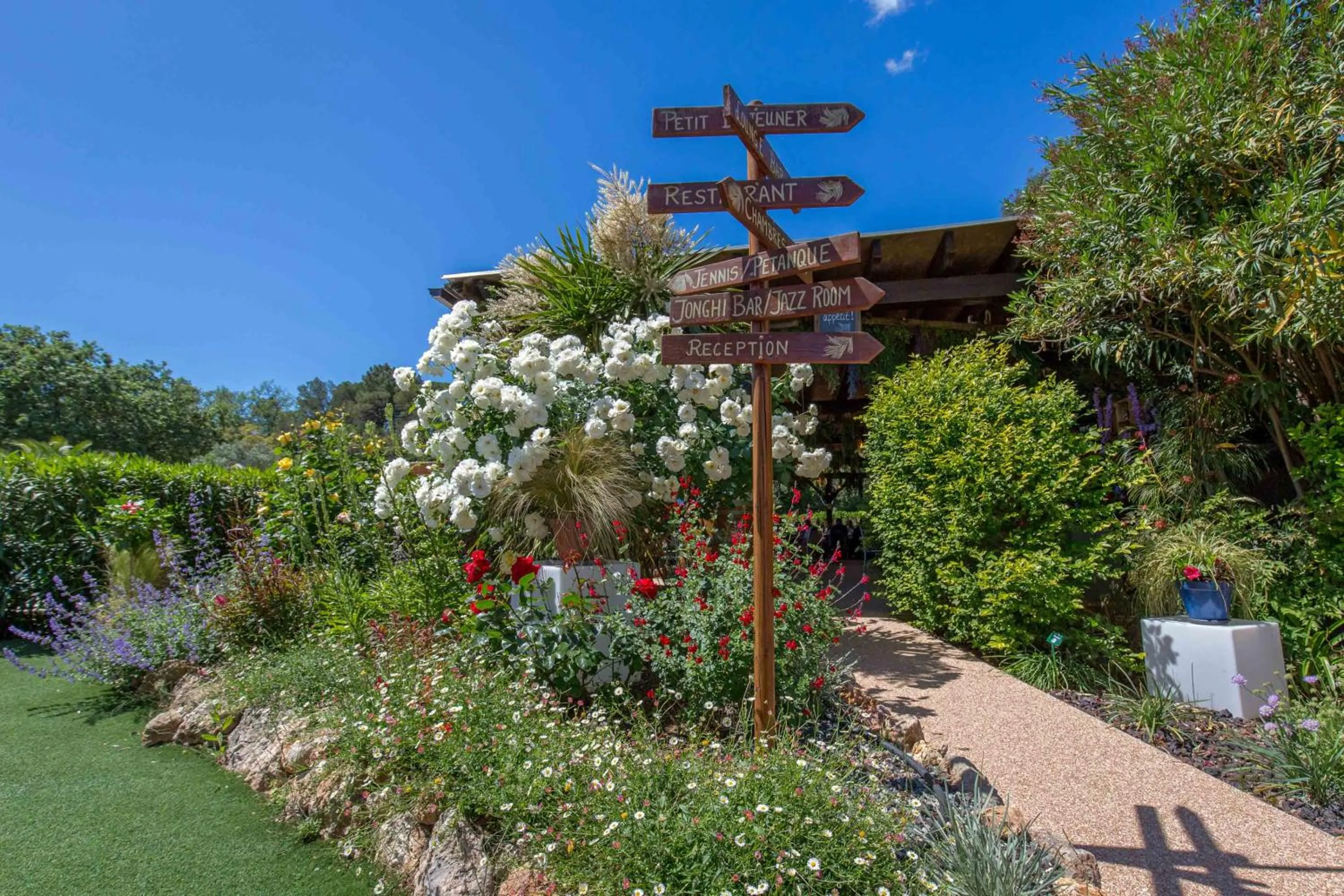 Les Pins Blancs en Provence